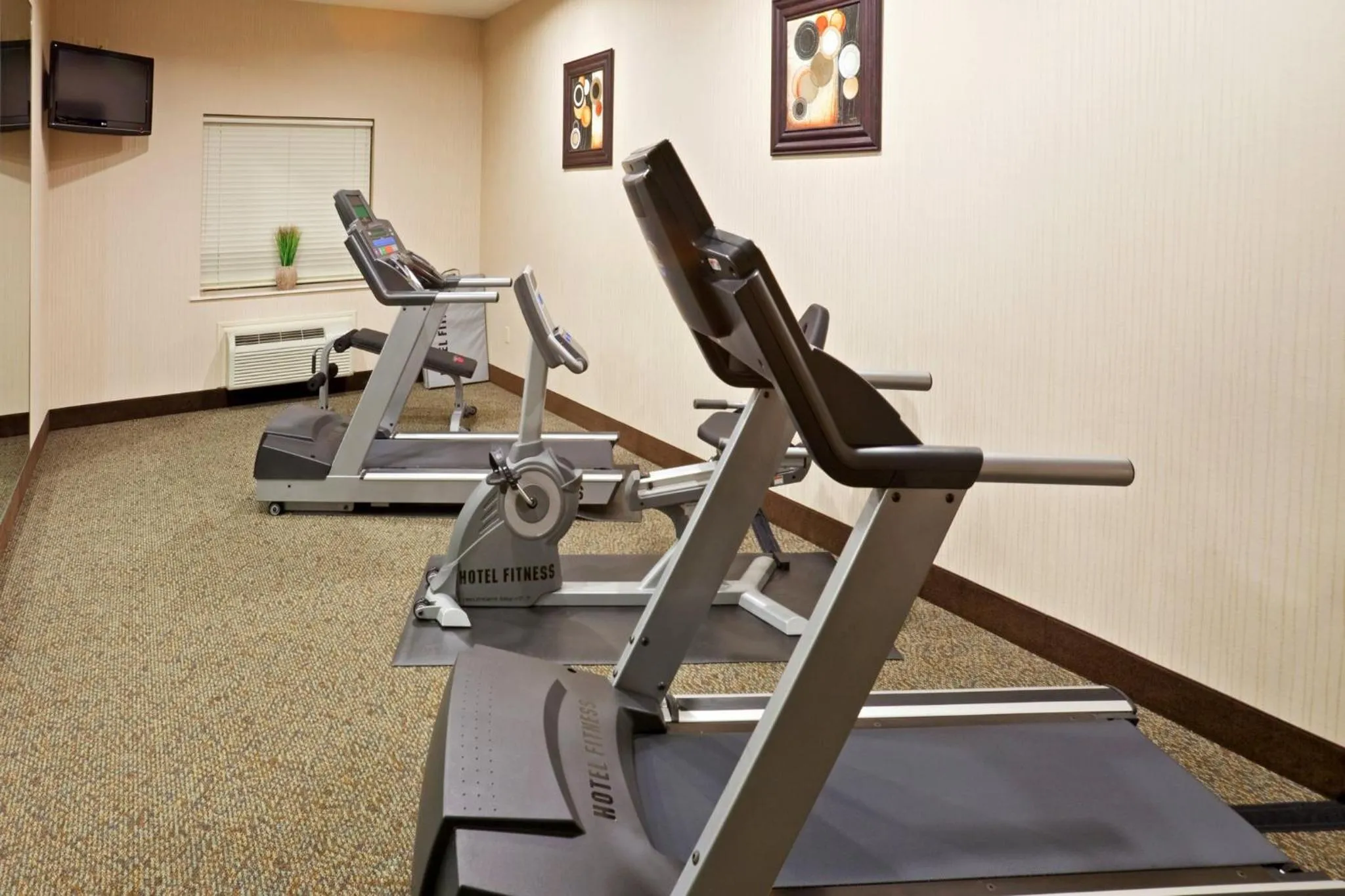 Fitness centre/facilities in Holiday Inn Express Hotel & Suites Cedar Hill by IHG