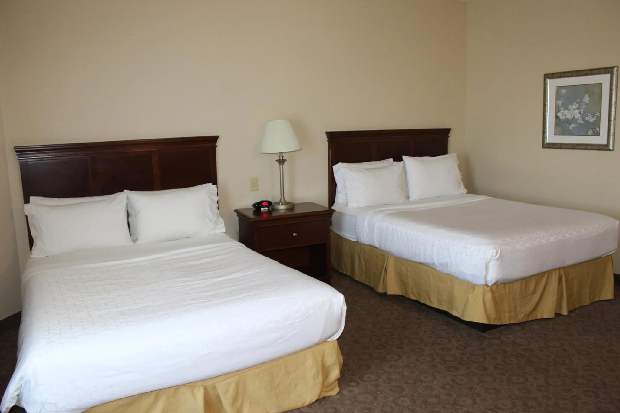 Photo of the whole room, Bed in Holiday Inn Express Hotel & Suites Cedar Hill by IHG