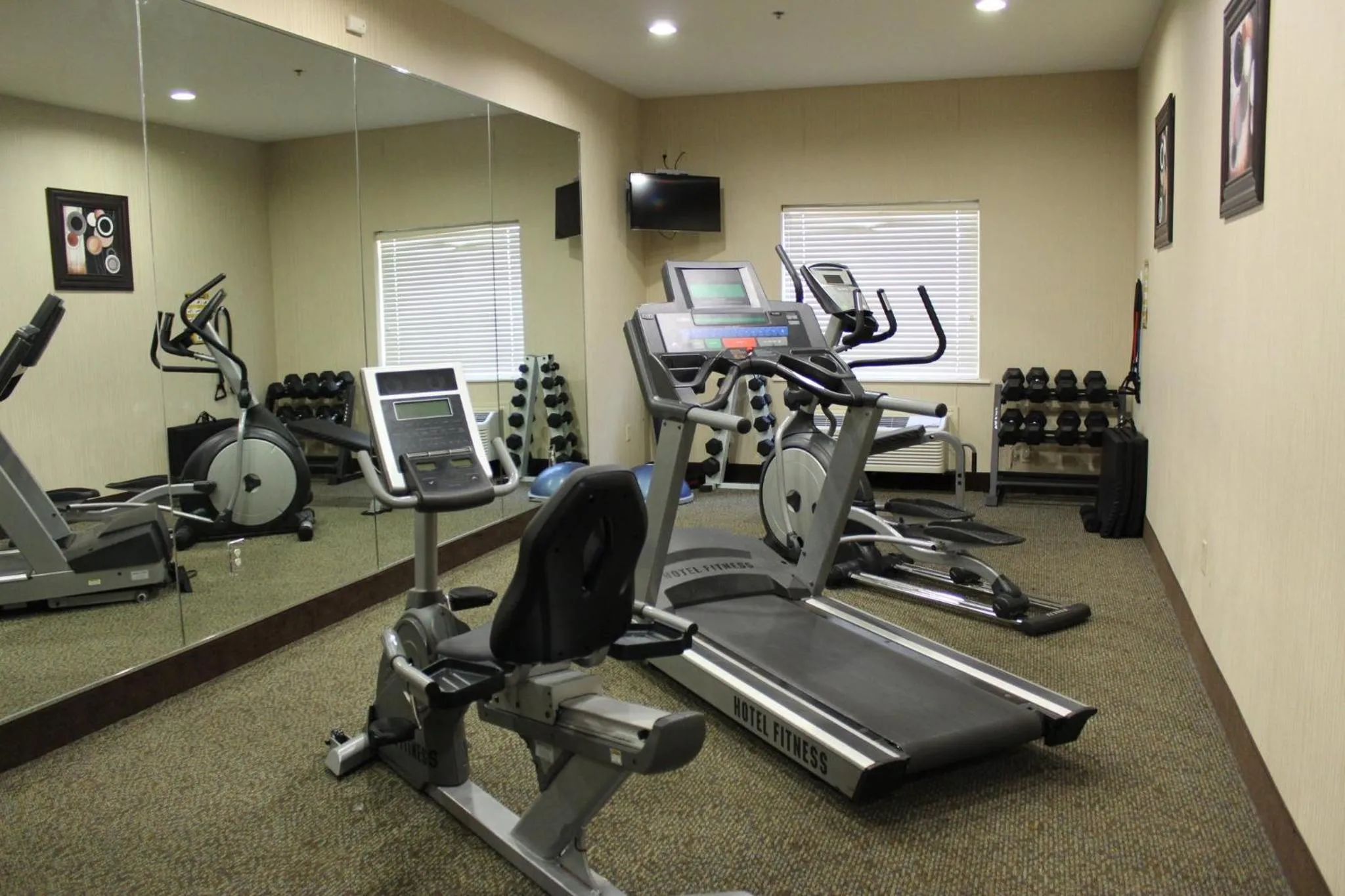 Fitness centre/facilities in Holiday Inn Express Hotel & Suites Cedar Hill by IHG