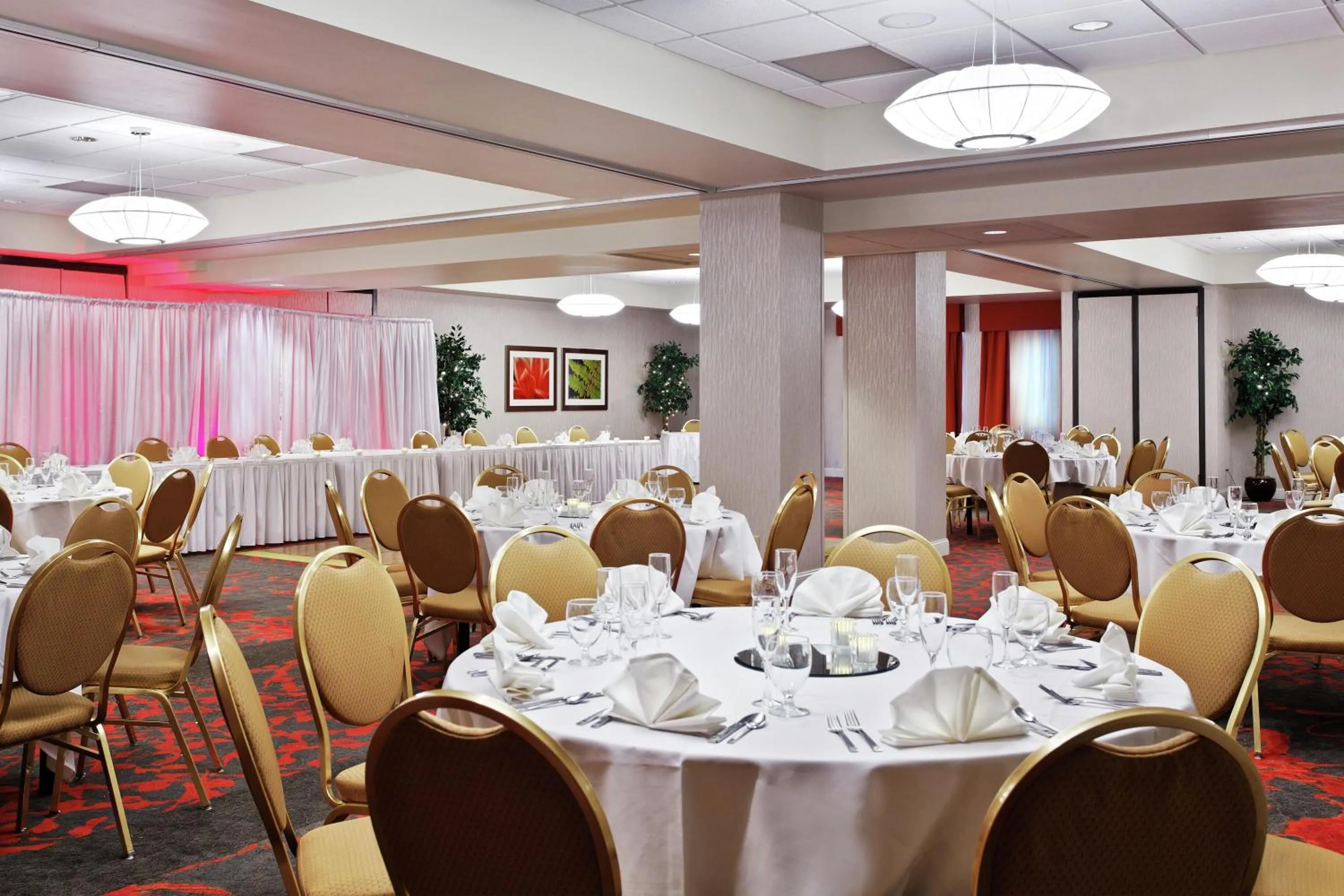 Meeting/conference room in Hilton Garden Inn Springfield, IL