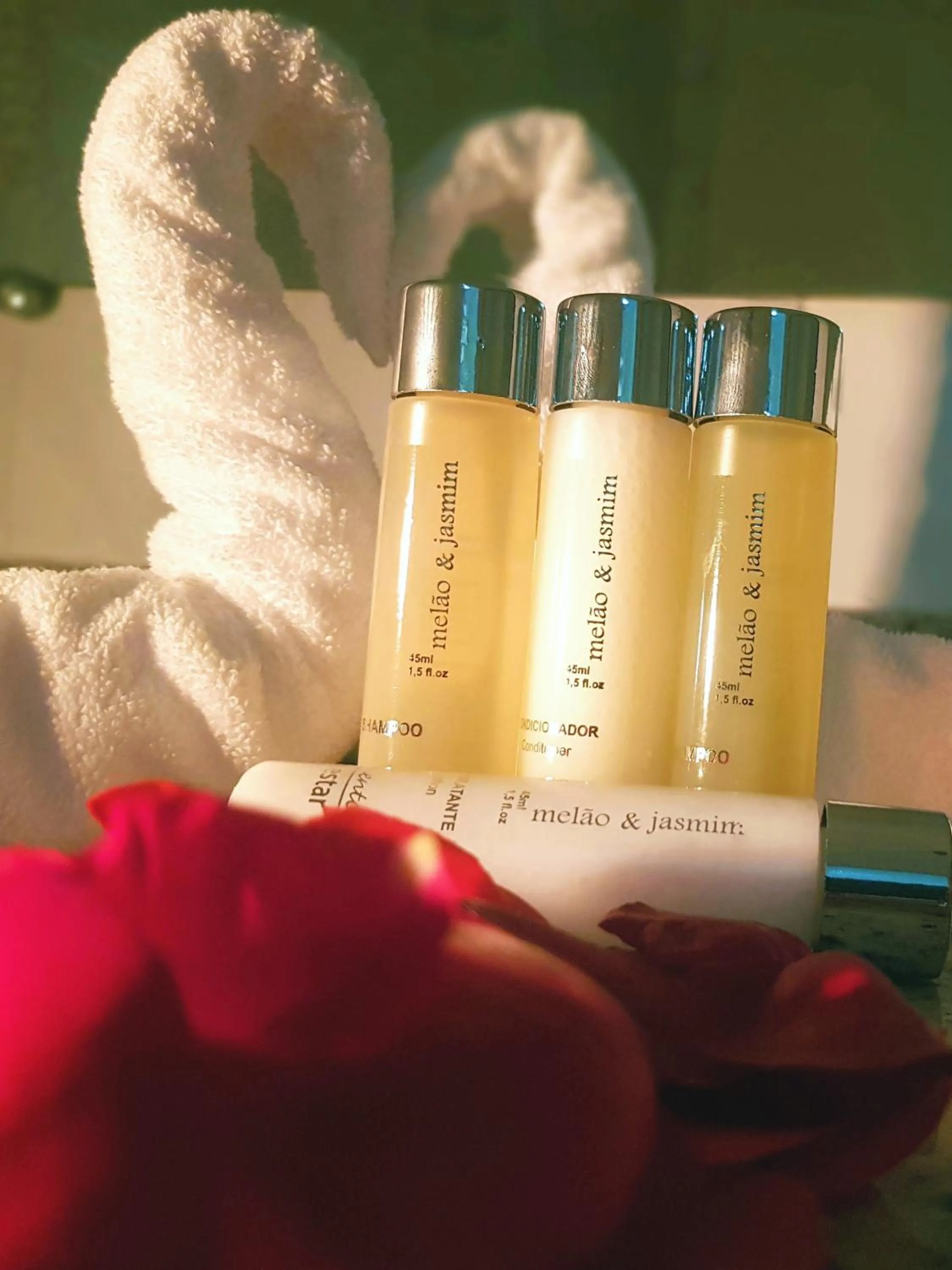 Hotel Cristal Rio Claro