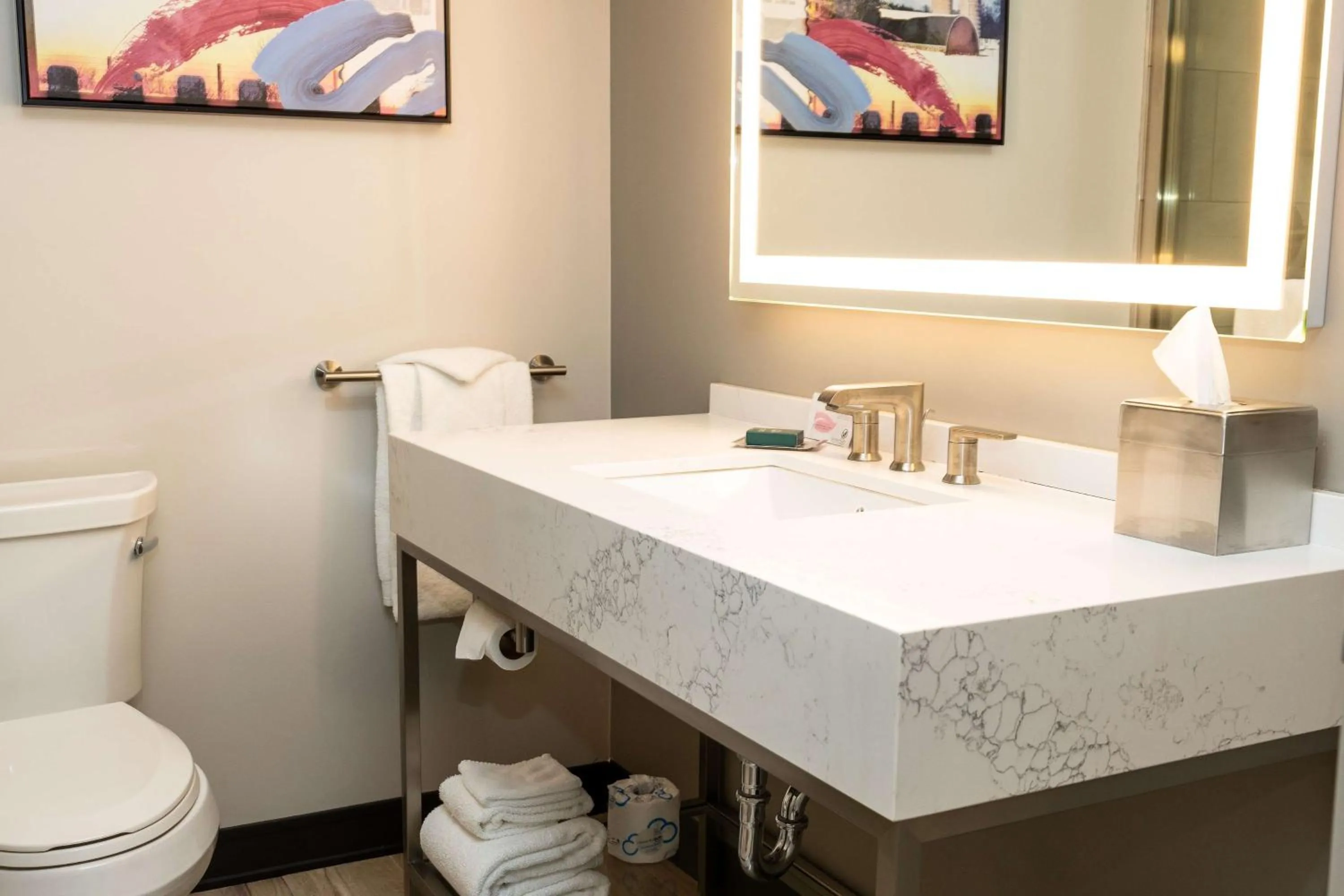 Bathroom in DoubleTree by Hilton Austin, MN