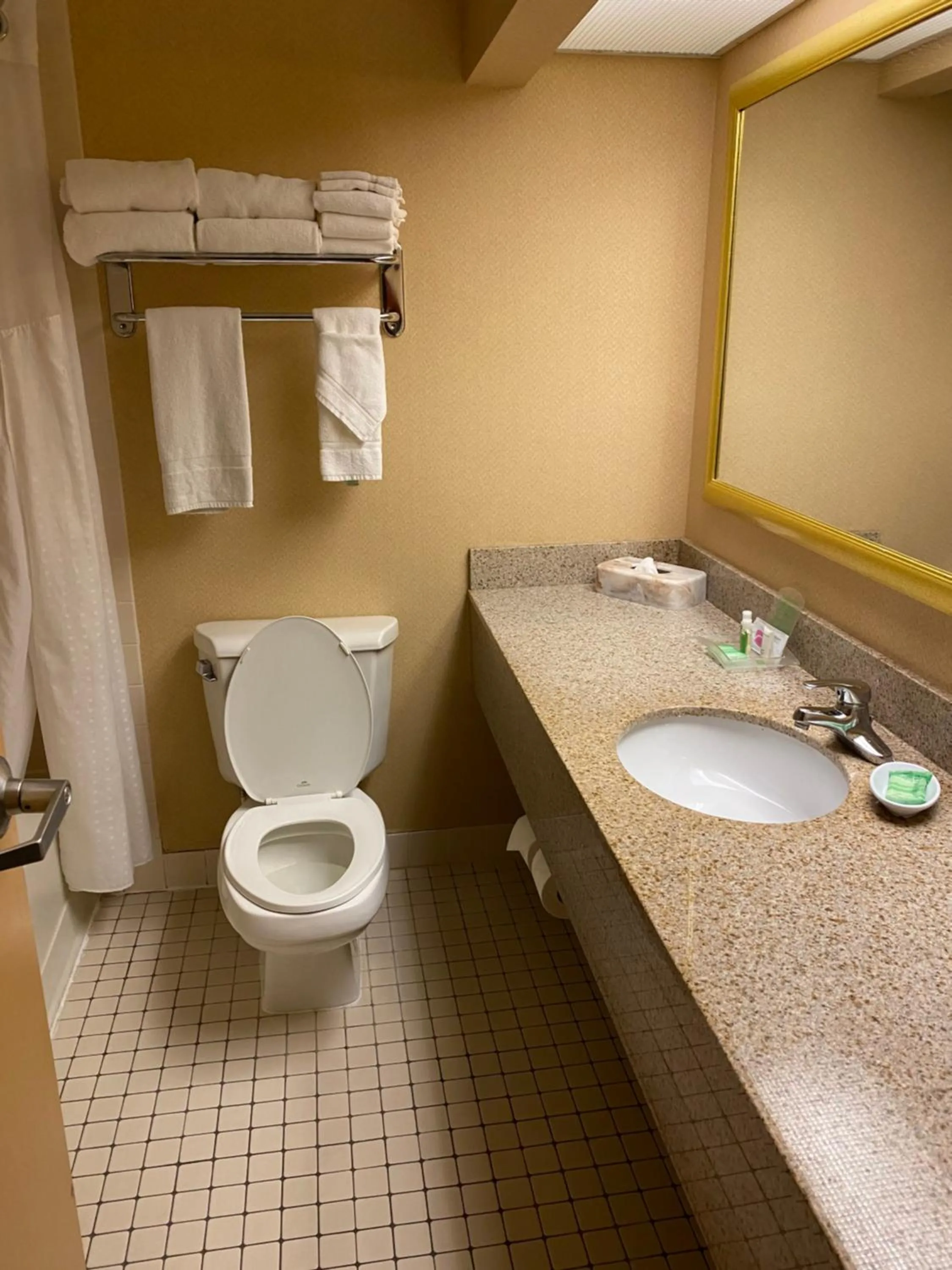 Bathroom in DoubleTree by Hilton Austin, MN