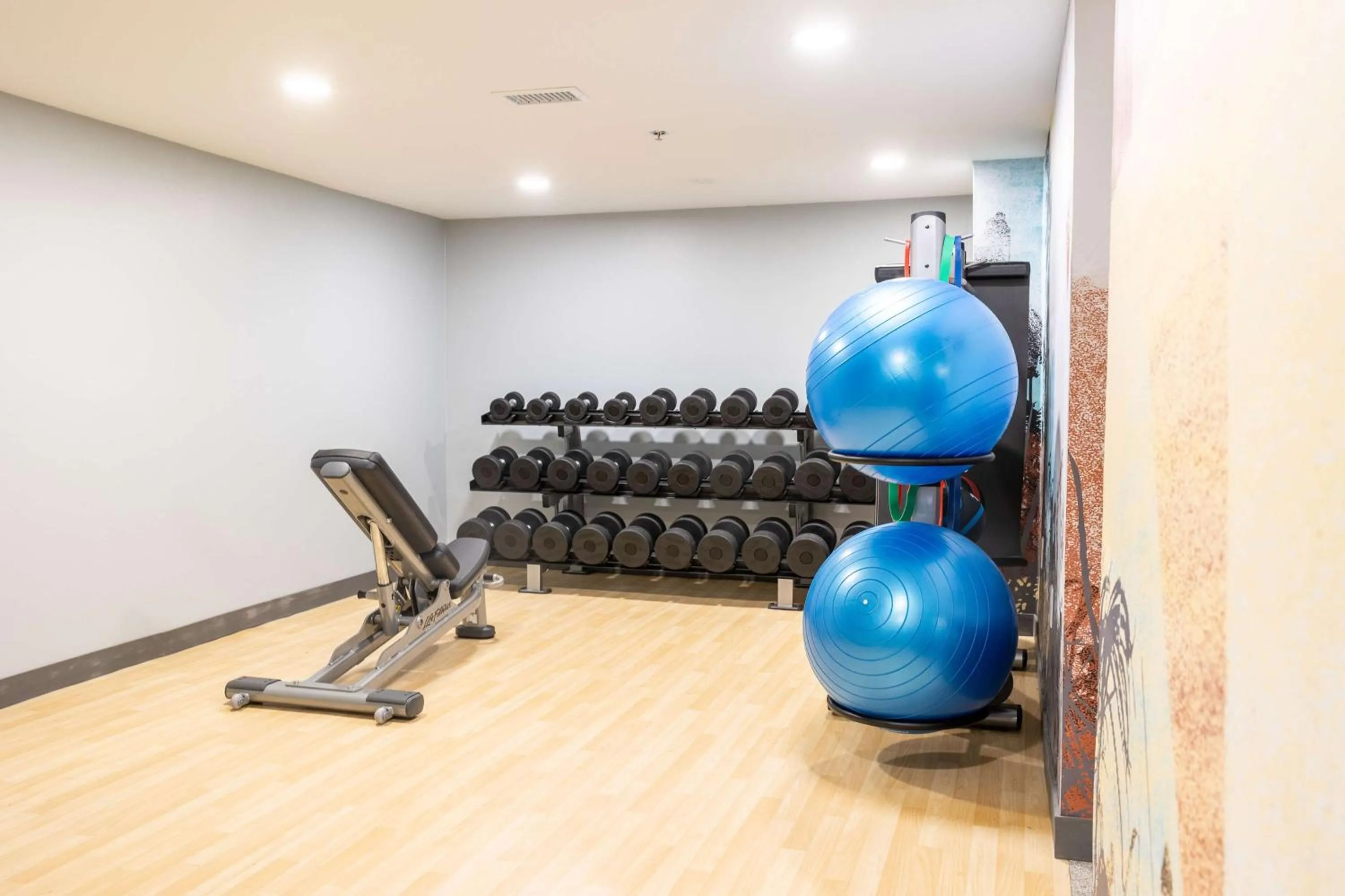 Fitness centre/facilities in DoubleTree by Hilton Austin, MN