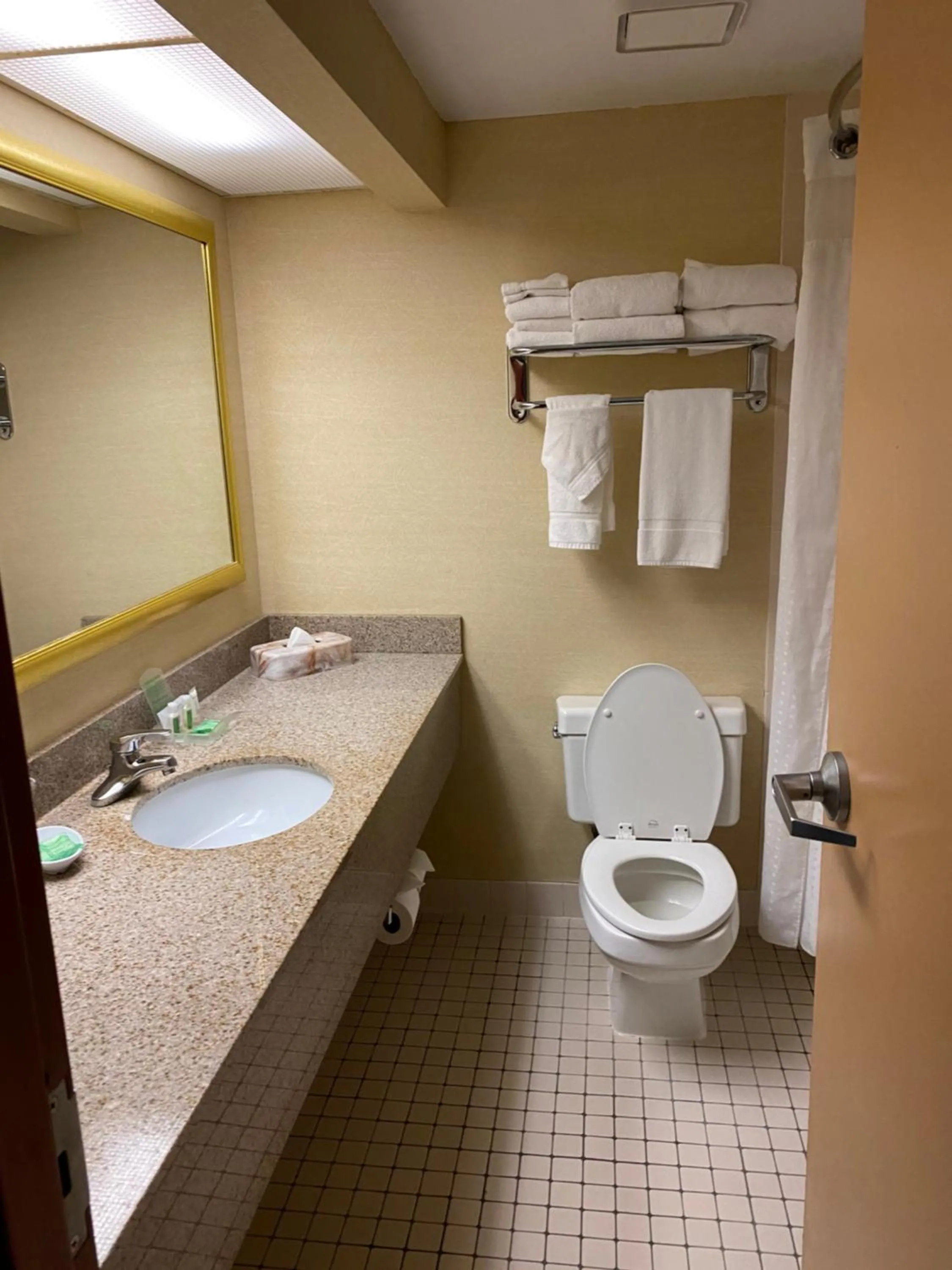 Bathroom in DoubleTree by Hilton Austin, MN