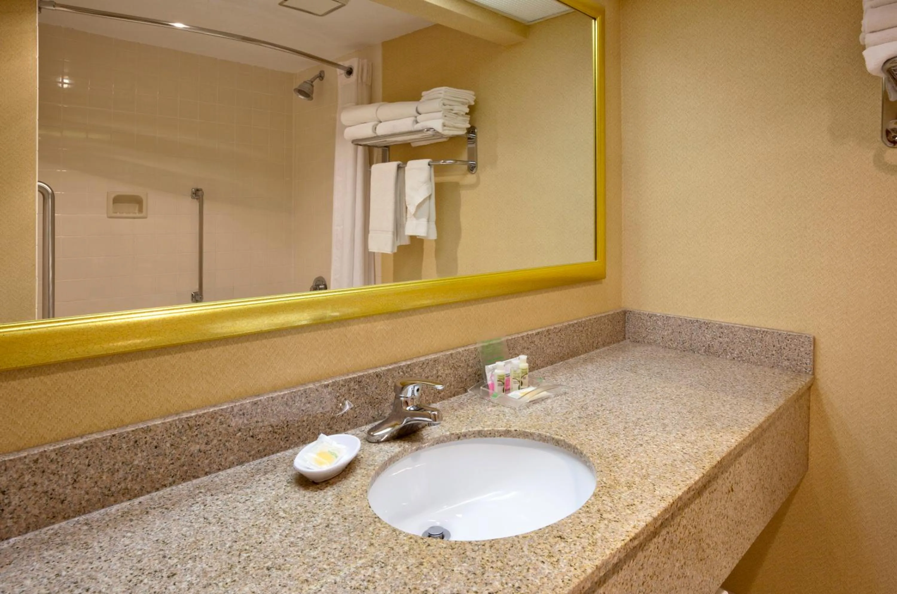 Bathroom in DoubleTree by Hilton Austin, MN