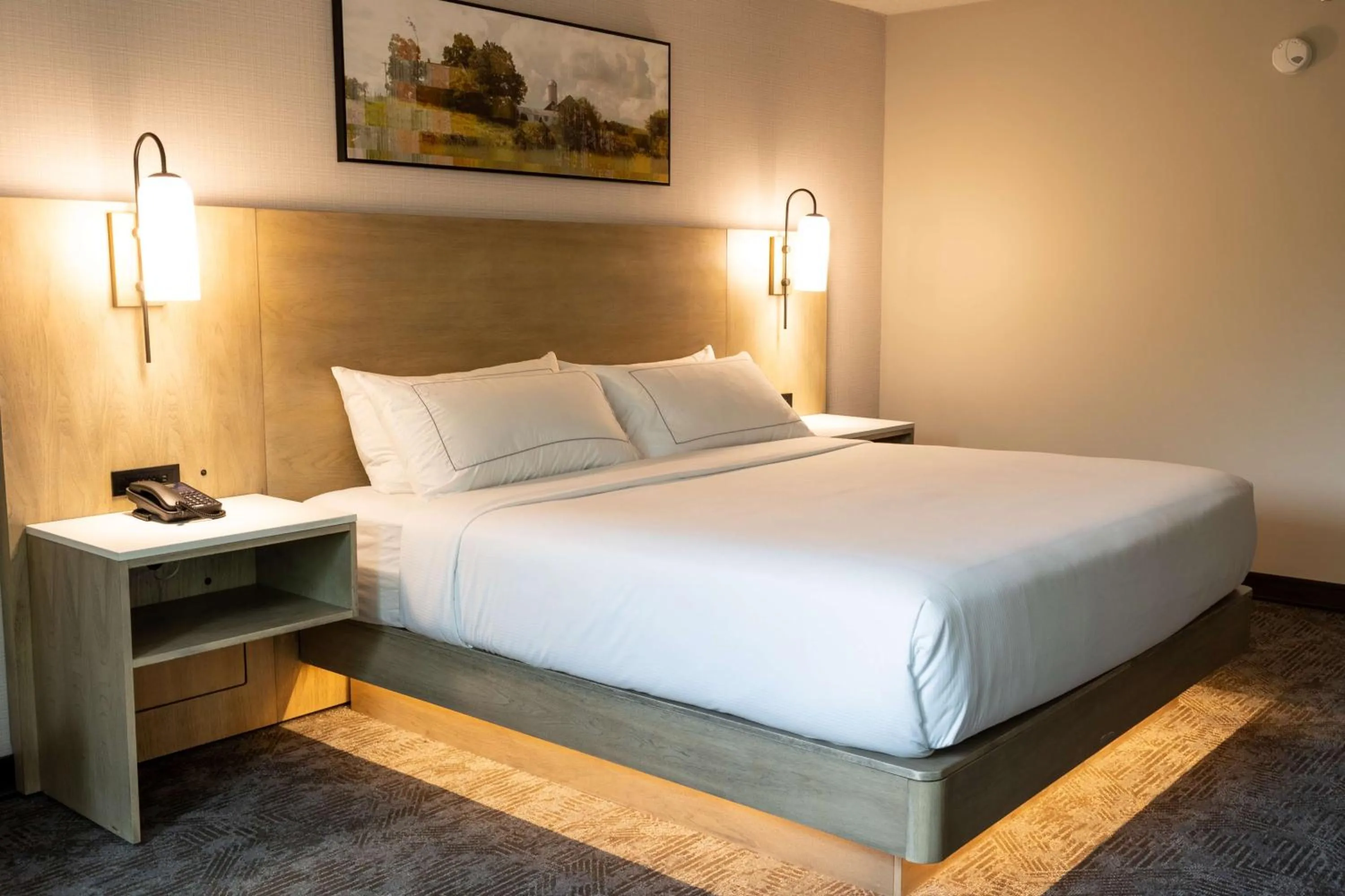 Bed in DoubleTree by Hilton Austin, MN