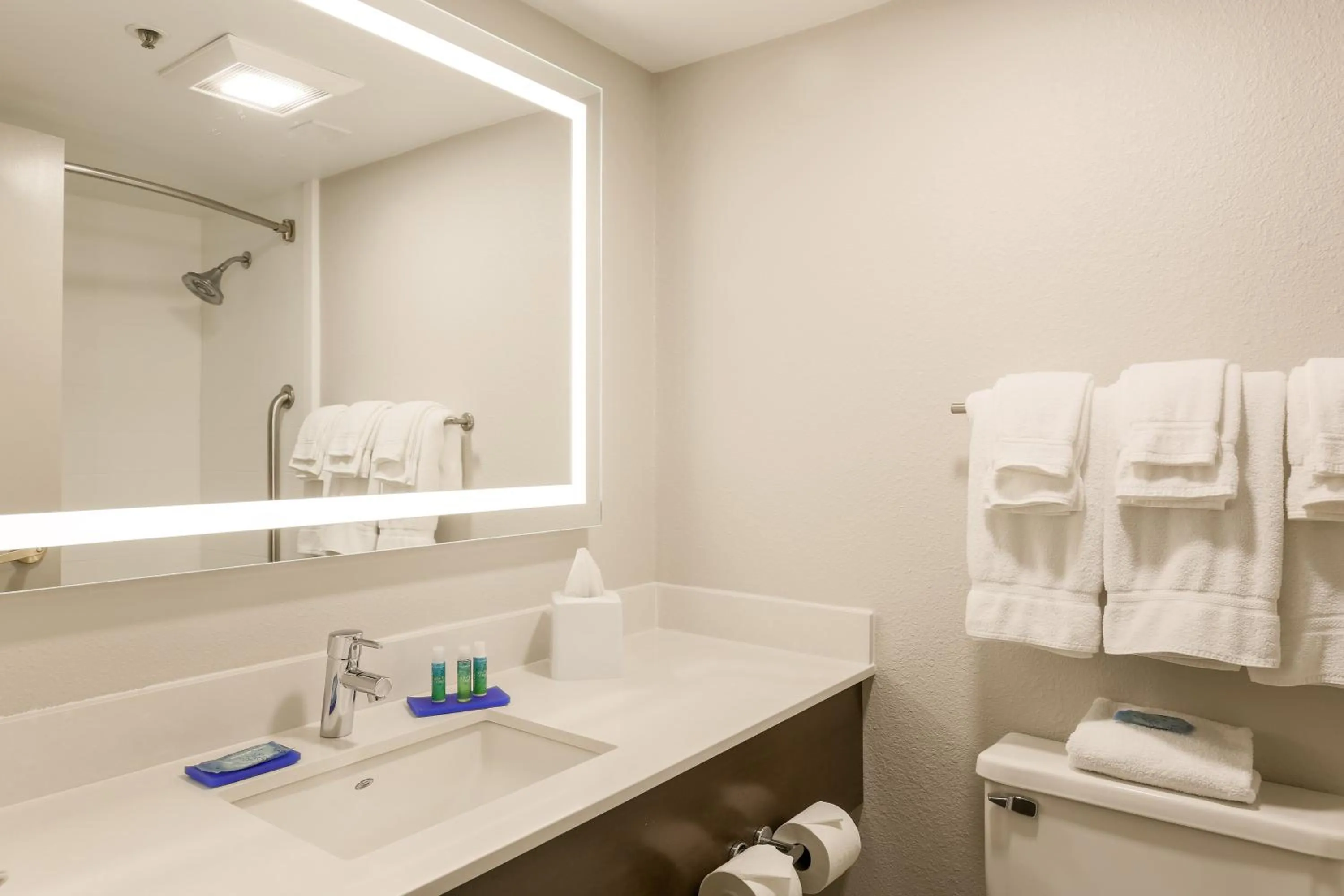 Bathroom in Holiday Inn Express Milwaukee - West Medical Center by IHG