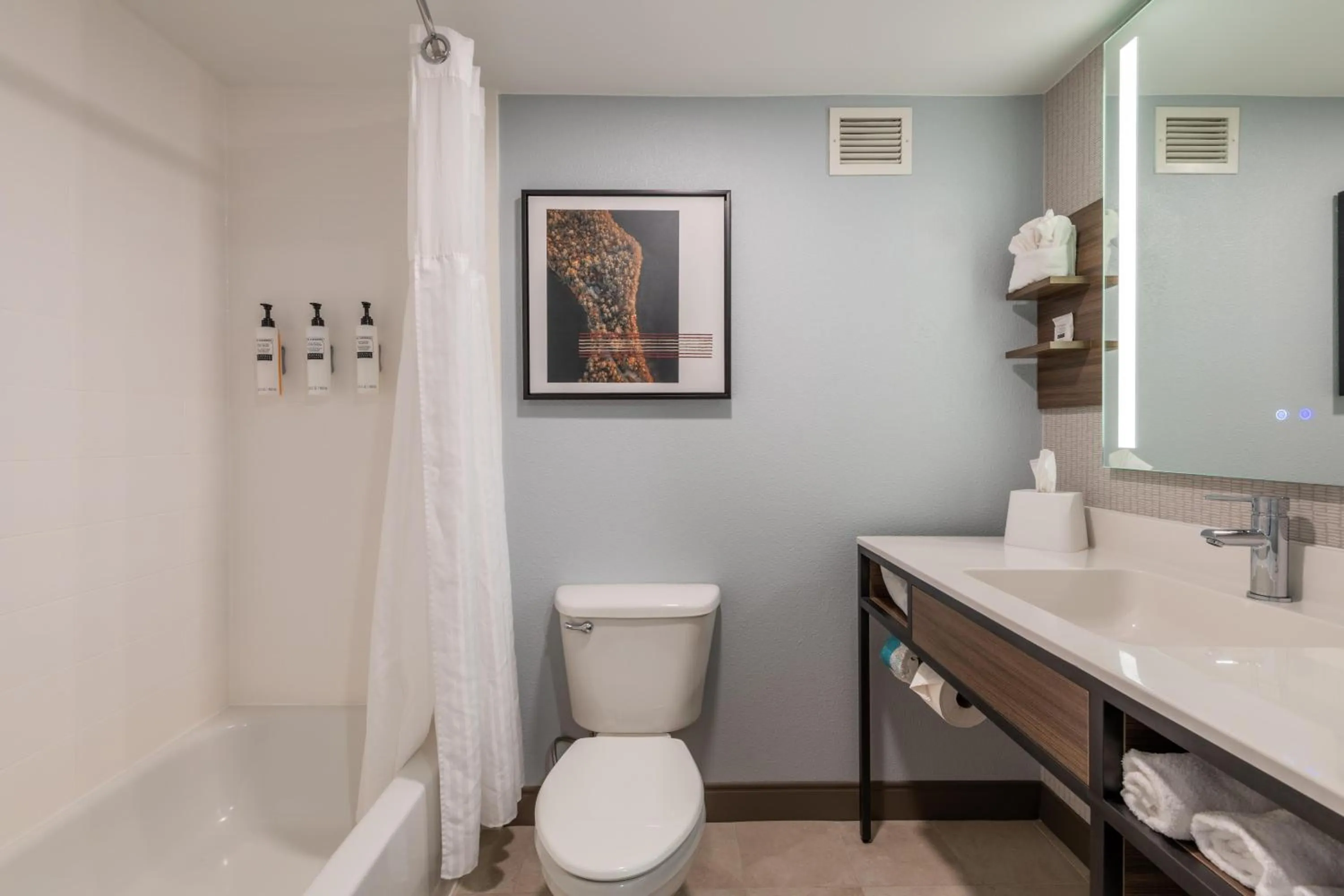 Bathroom in Hilton Garden Inn Auburn Riverwatch