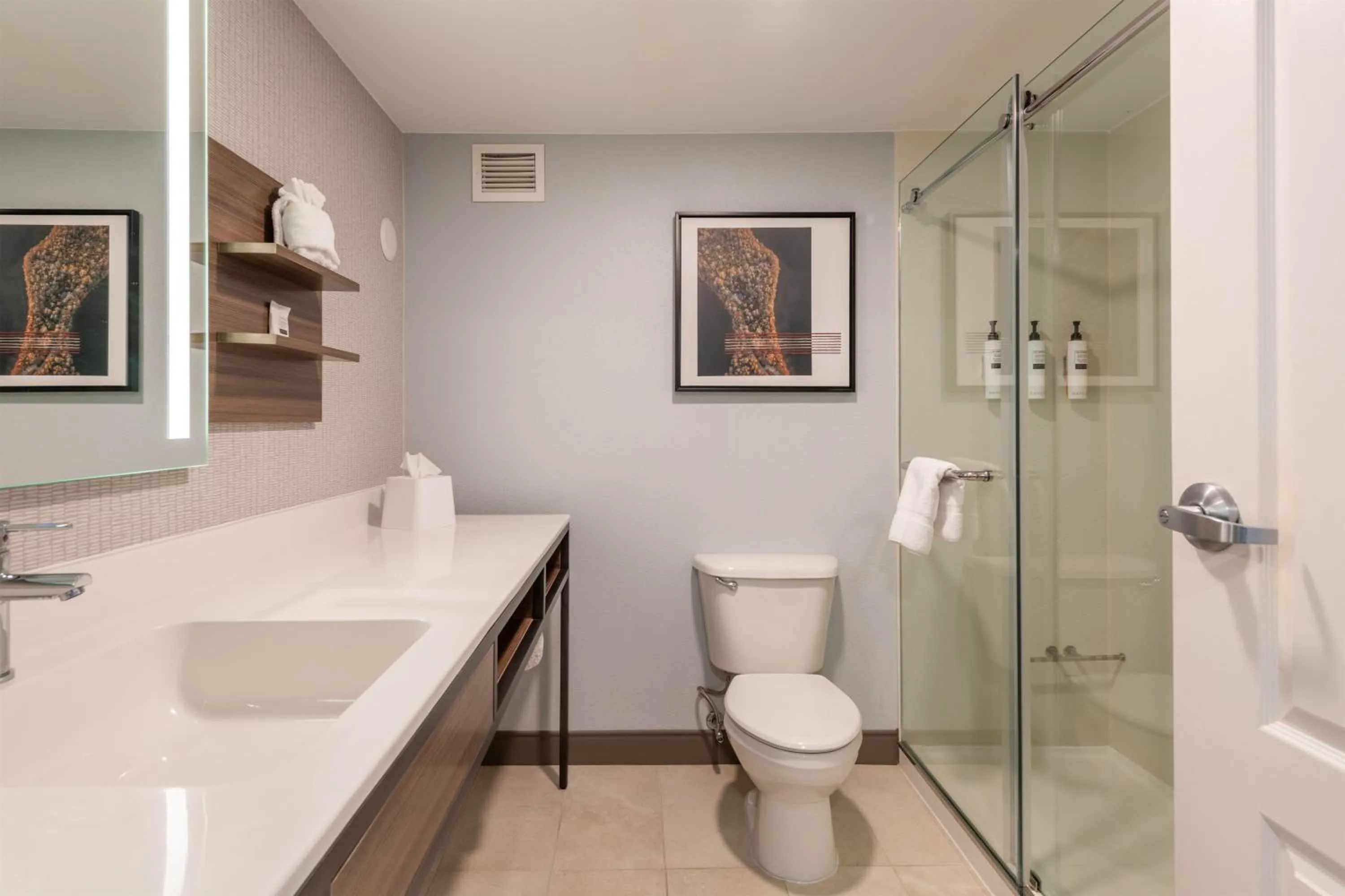 Bathroom in Hilton Garden Inn Auburn Riverwatch