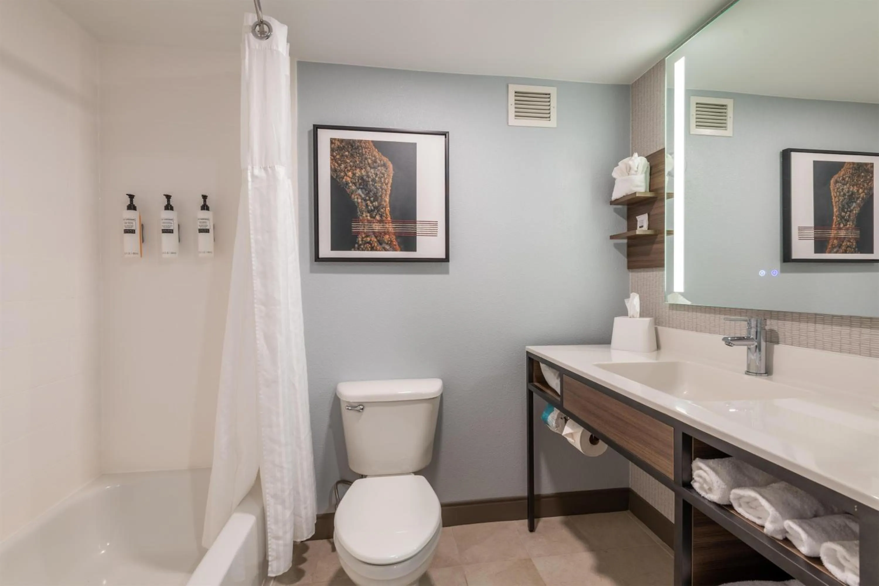 Bathroom in Hilton Garden Inn Auburn Riverwatch