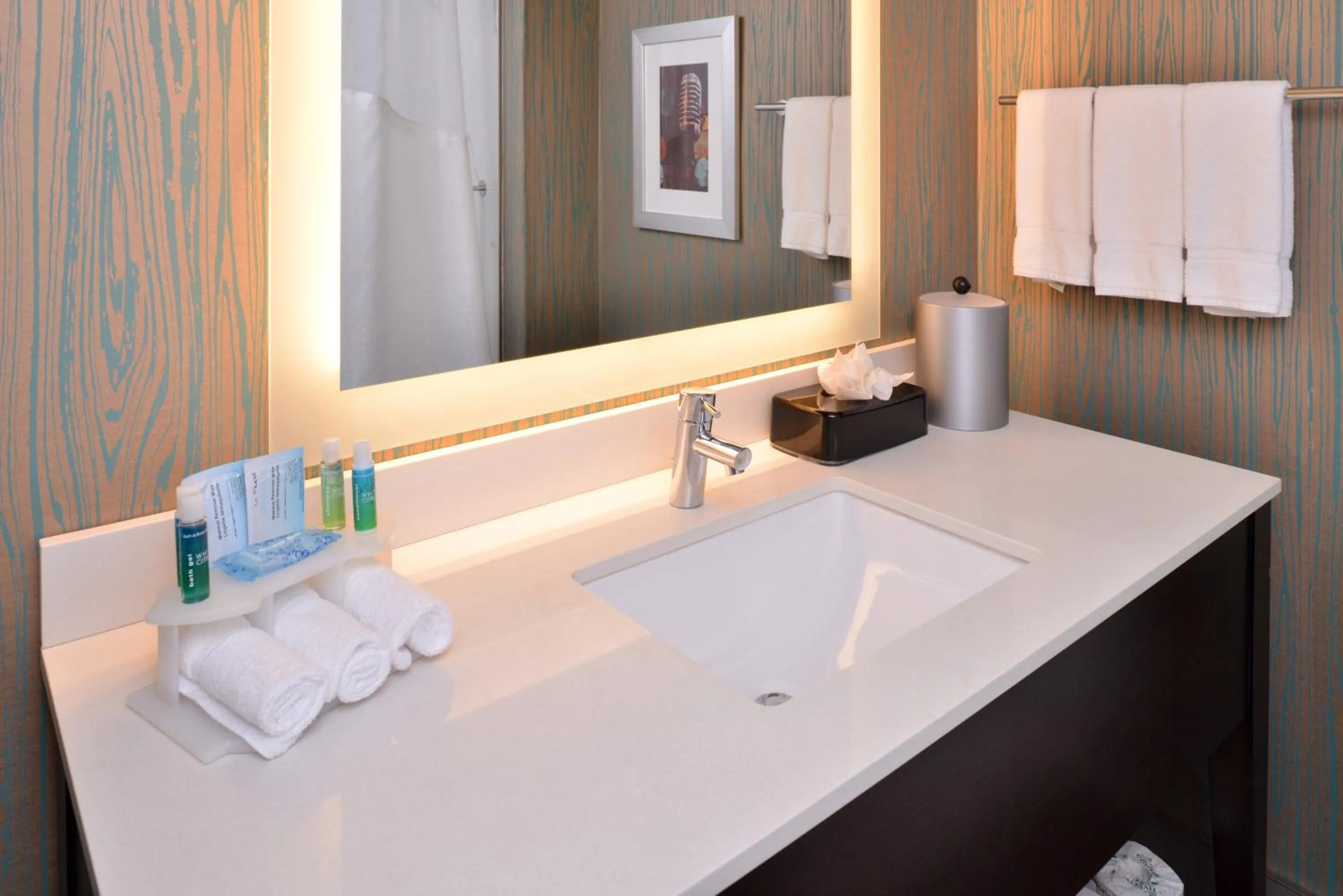 Bathroom in Holiday Inn Express & Suites Austin North Central by IHG