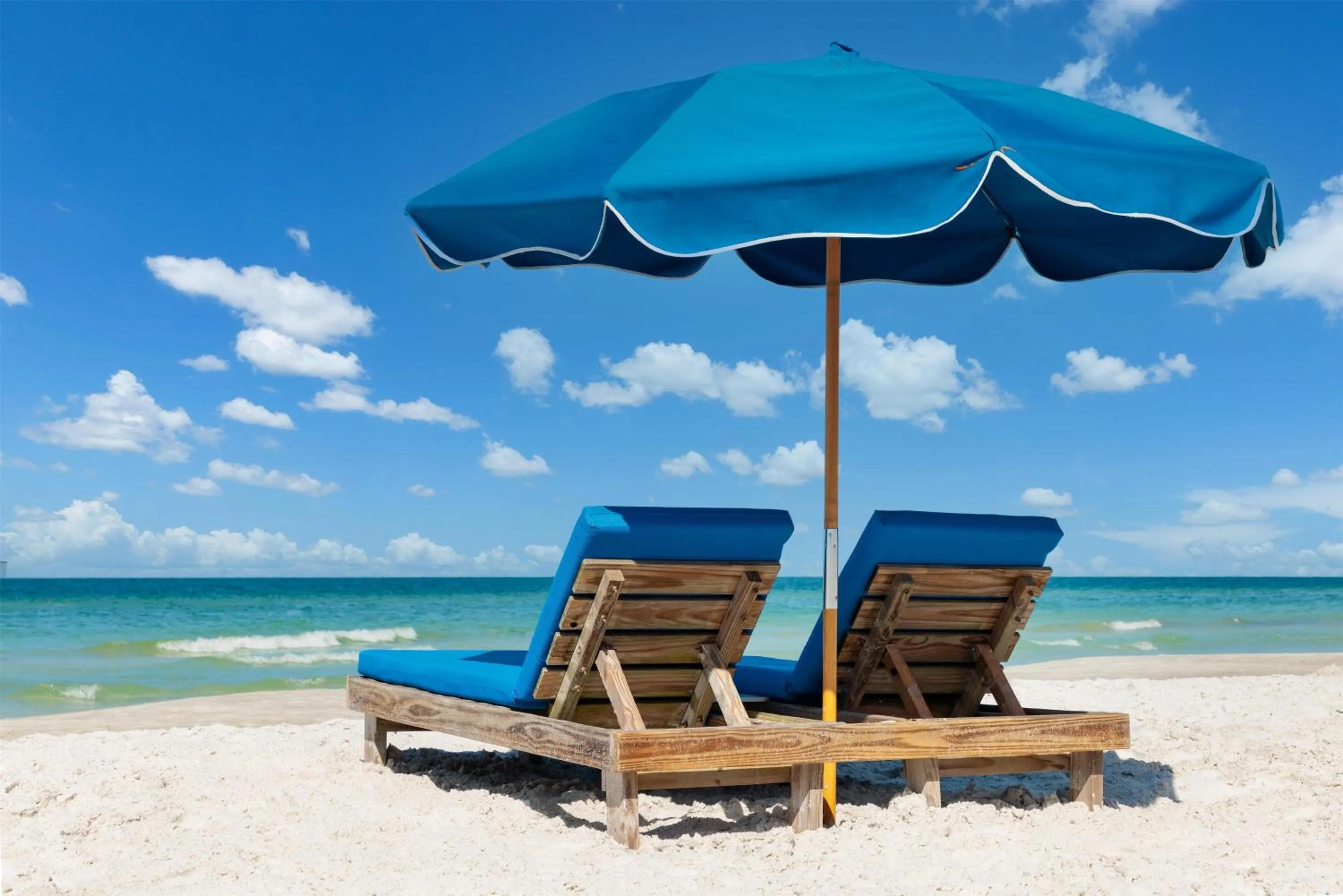 Beach in DoubleTree Beach Resort by Hilton Tampa Bay – North Redington Beach