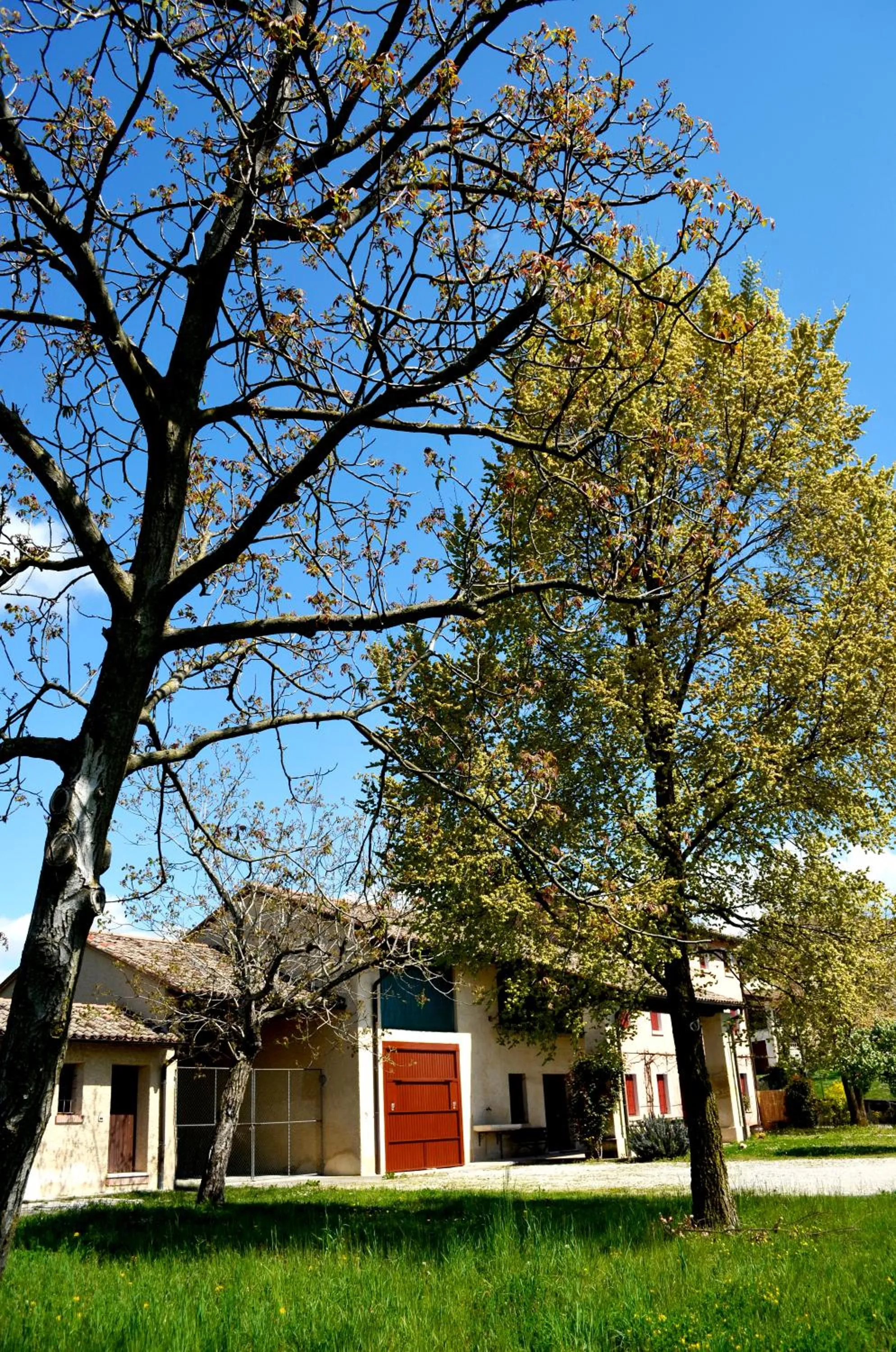 Other in agriturismo Cà Roer