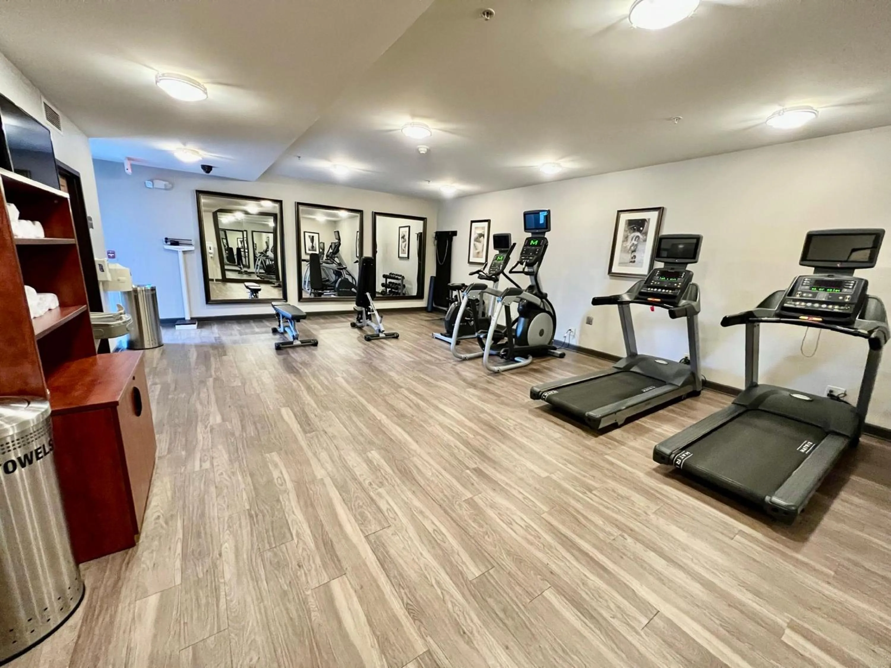 Fitness centre/facilities in Staybridge Suites Detroit-Novi by IHG