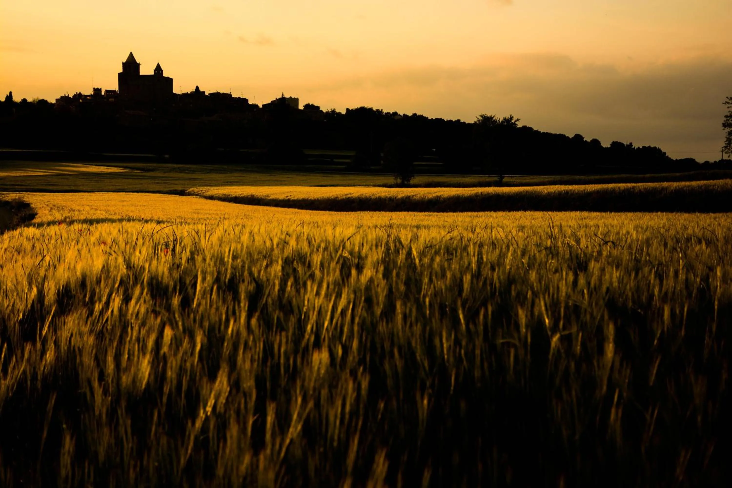 Natural landscape in El Racó de Madremanya - Adults only