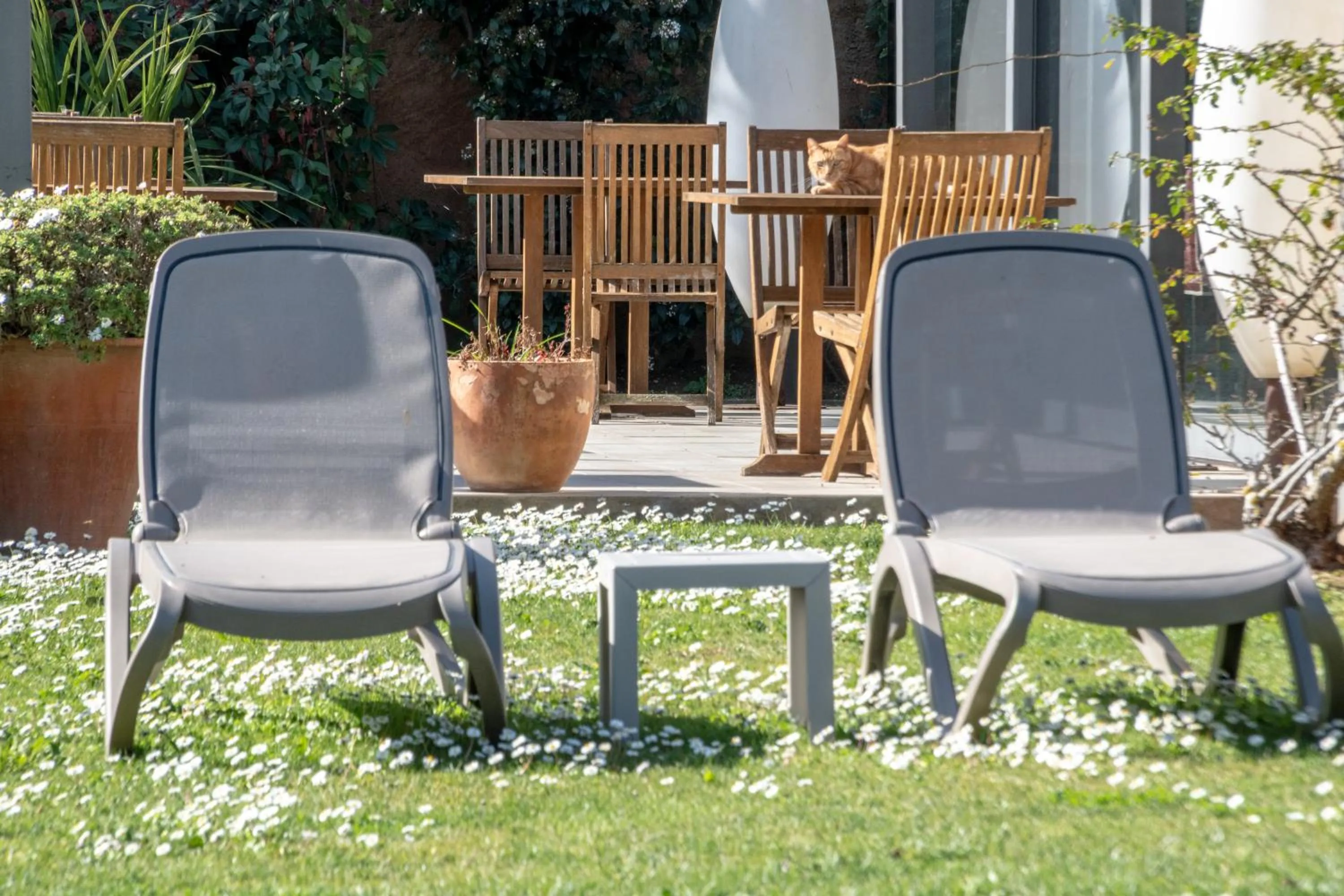 Garden in El Racó de Madremanya - Adults only