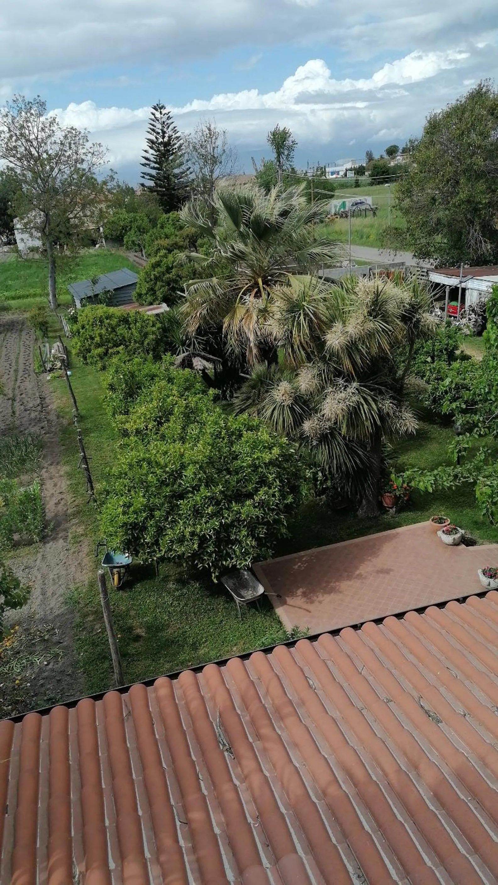 Garden view in B&b Cilento Paestum