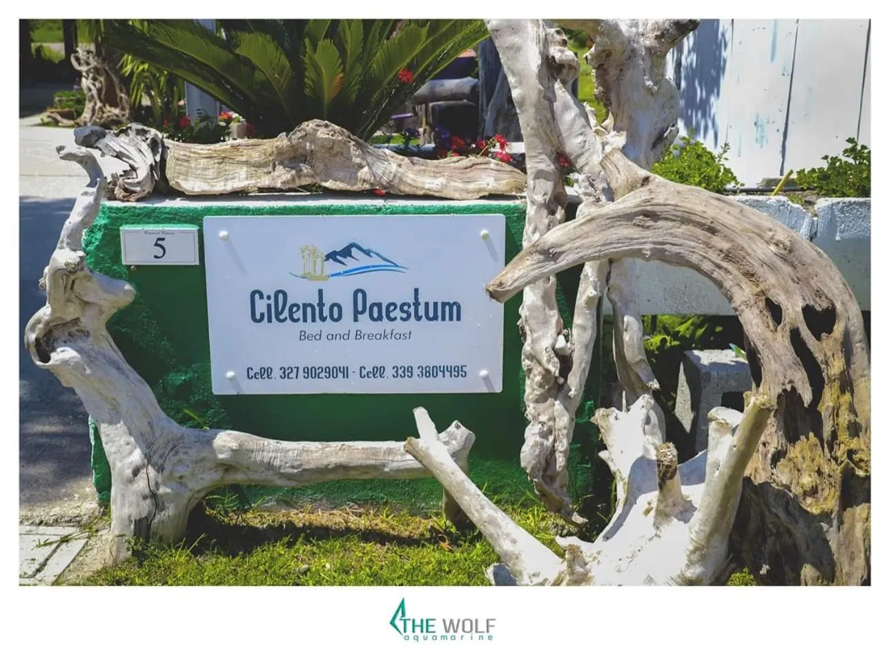 Property logo or sign in B&b Cilento Paestum