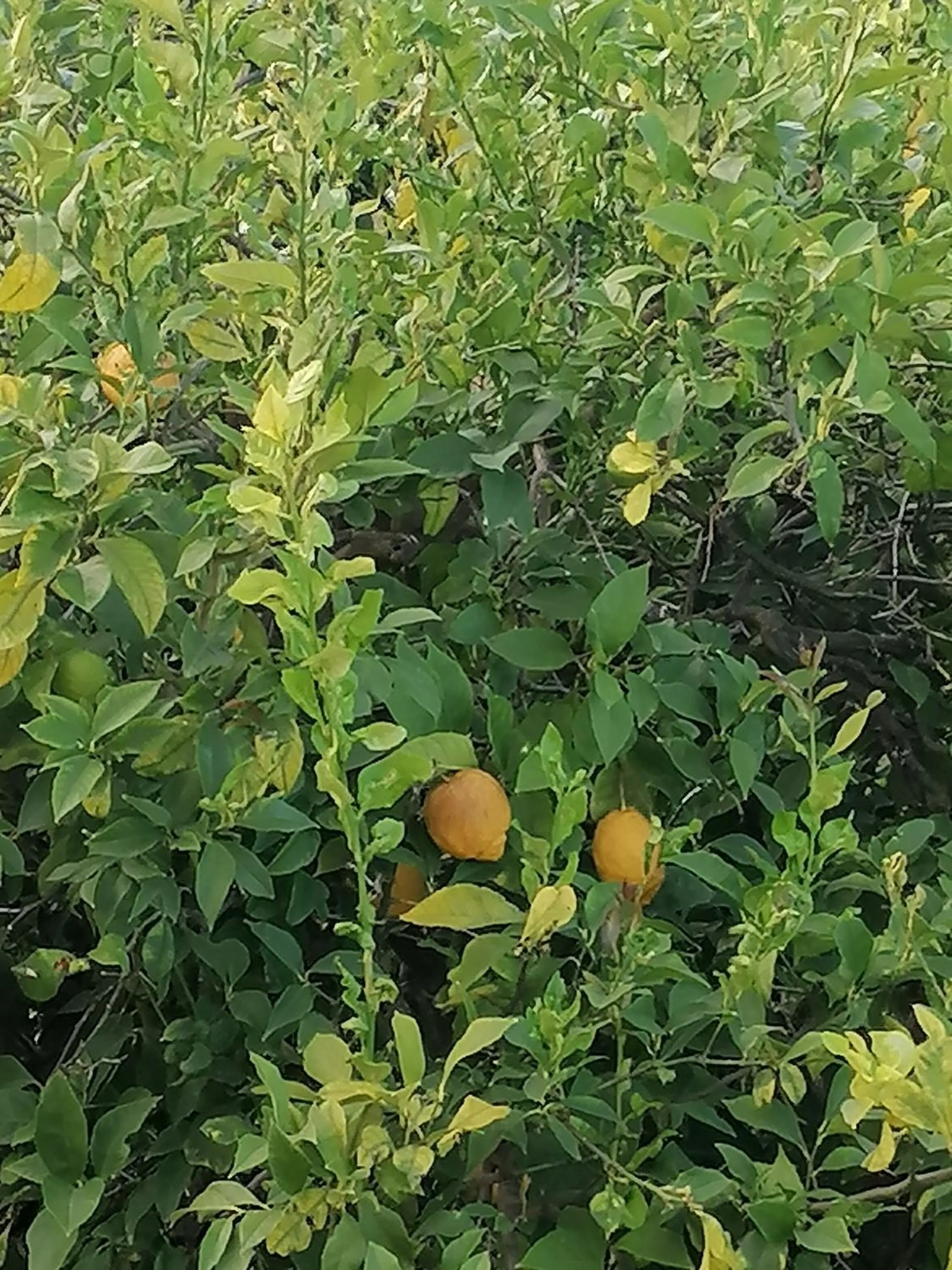 Natural landscape in B&b Cilento Paestum