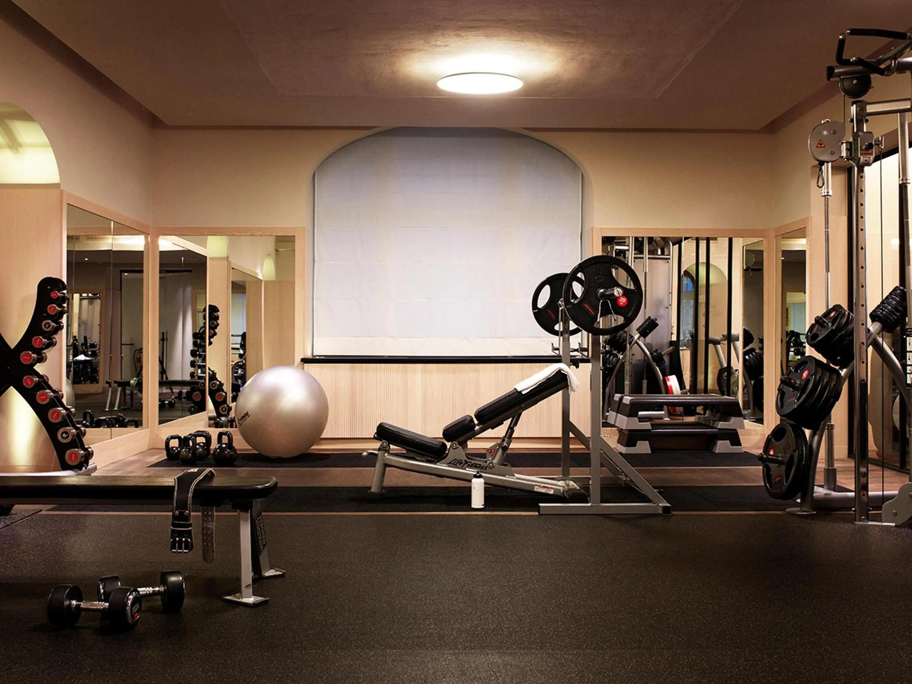 Fitness centre/facilities in Lydmar Hotel