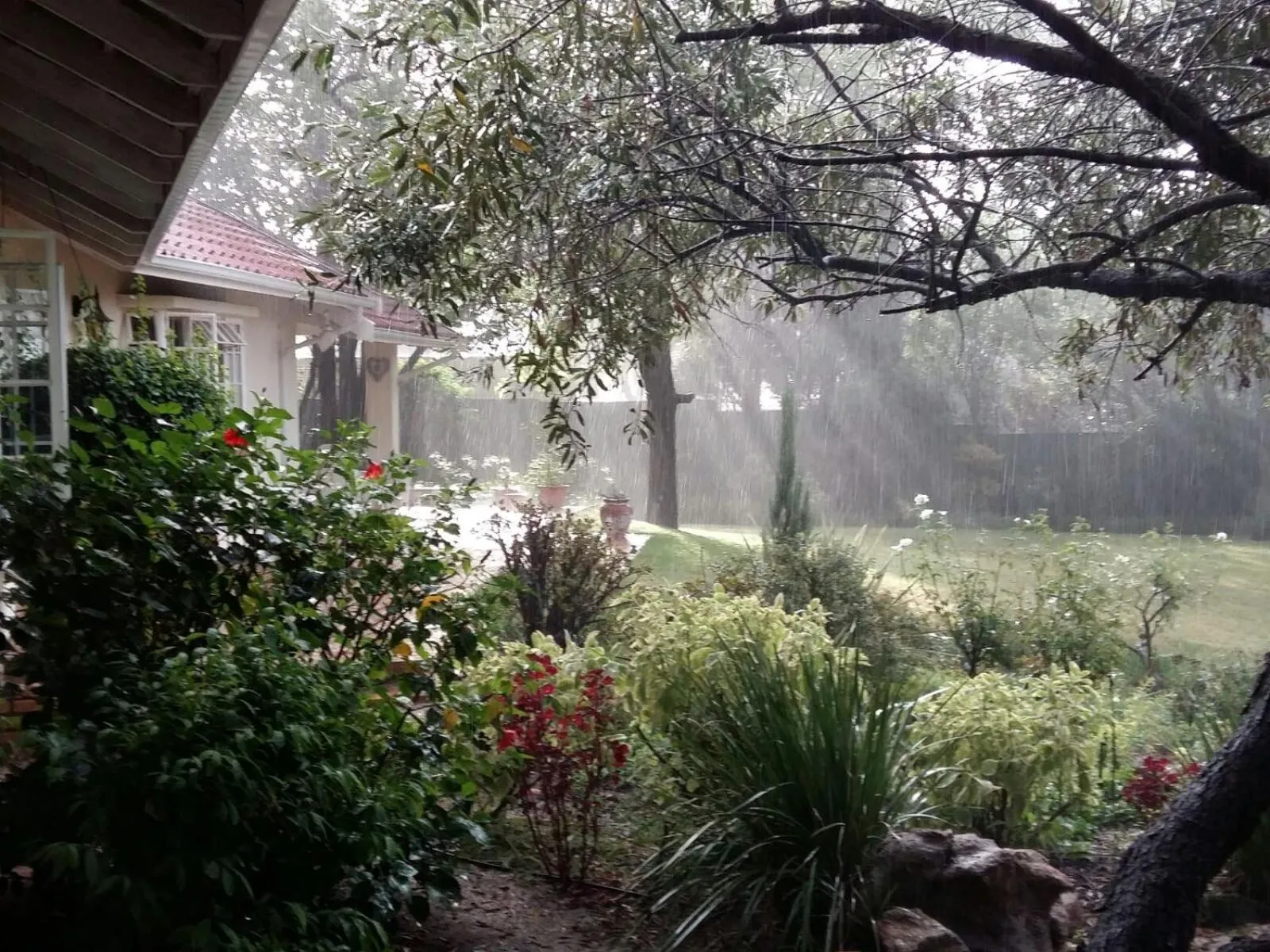 Property building in Tiree B&B