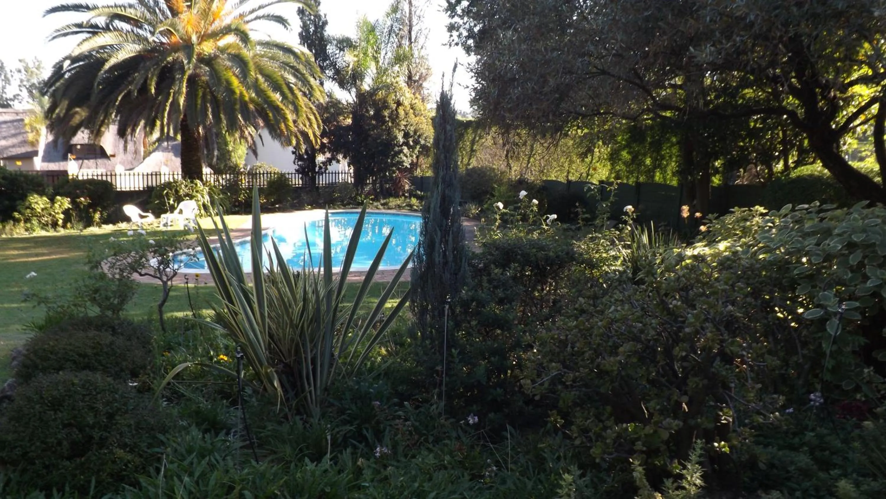 Pool view in Tiree B&B