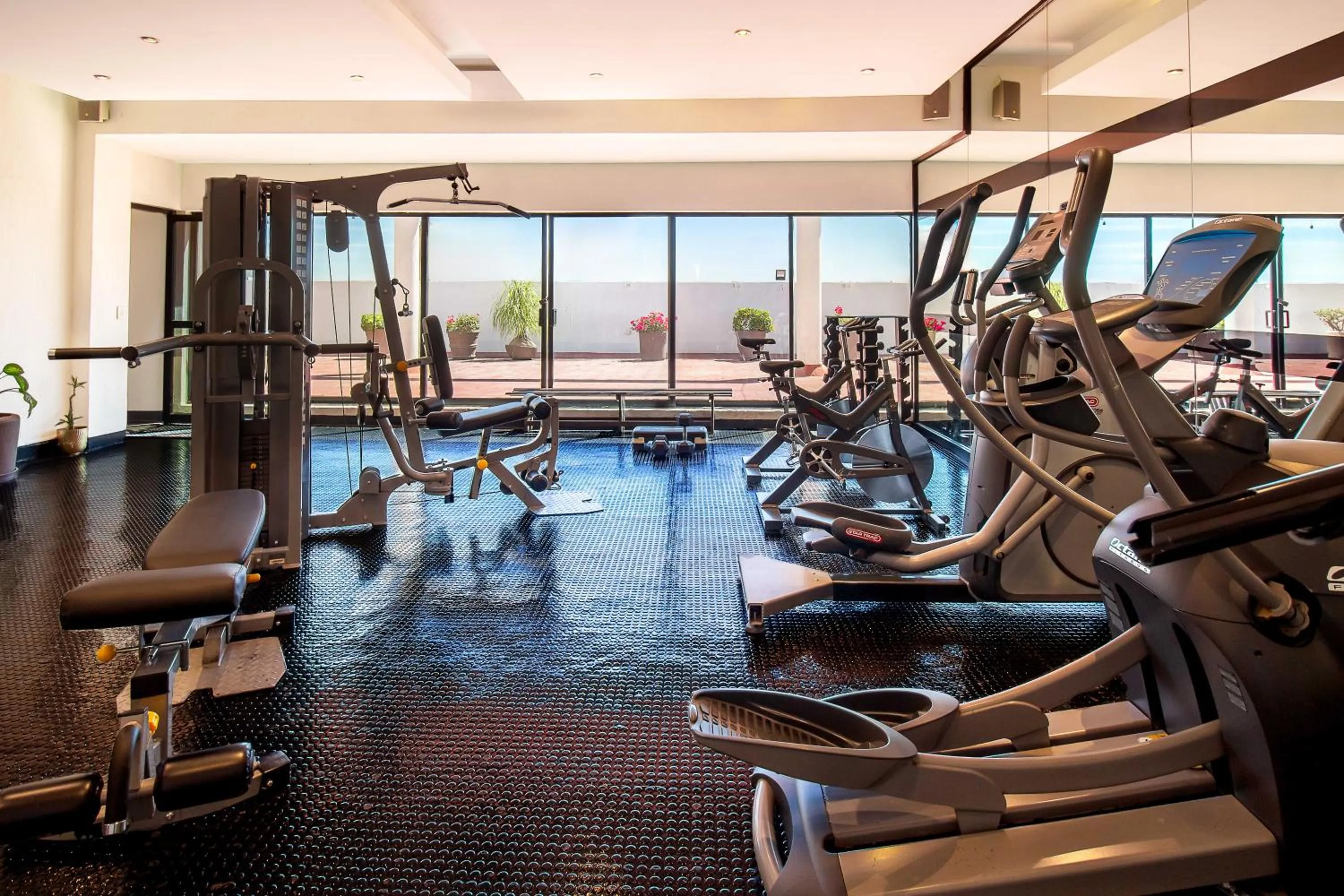 Fitness centre/facilities in Hotel Guadalajara Plaza Expo