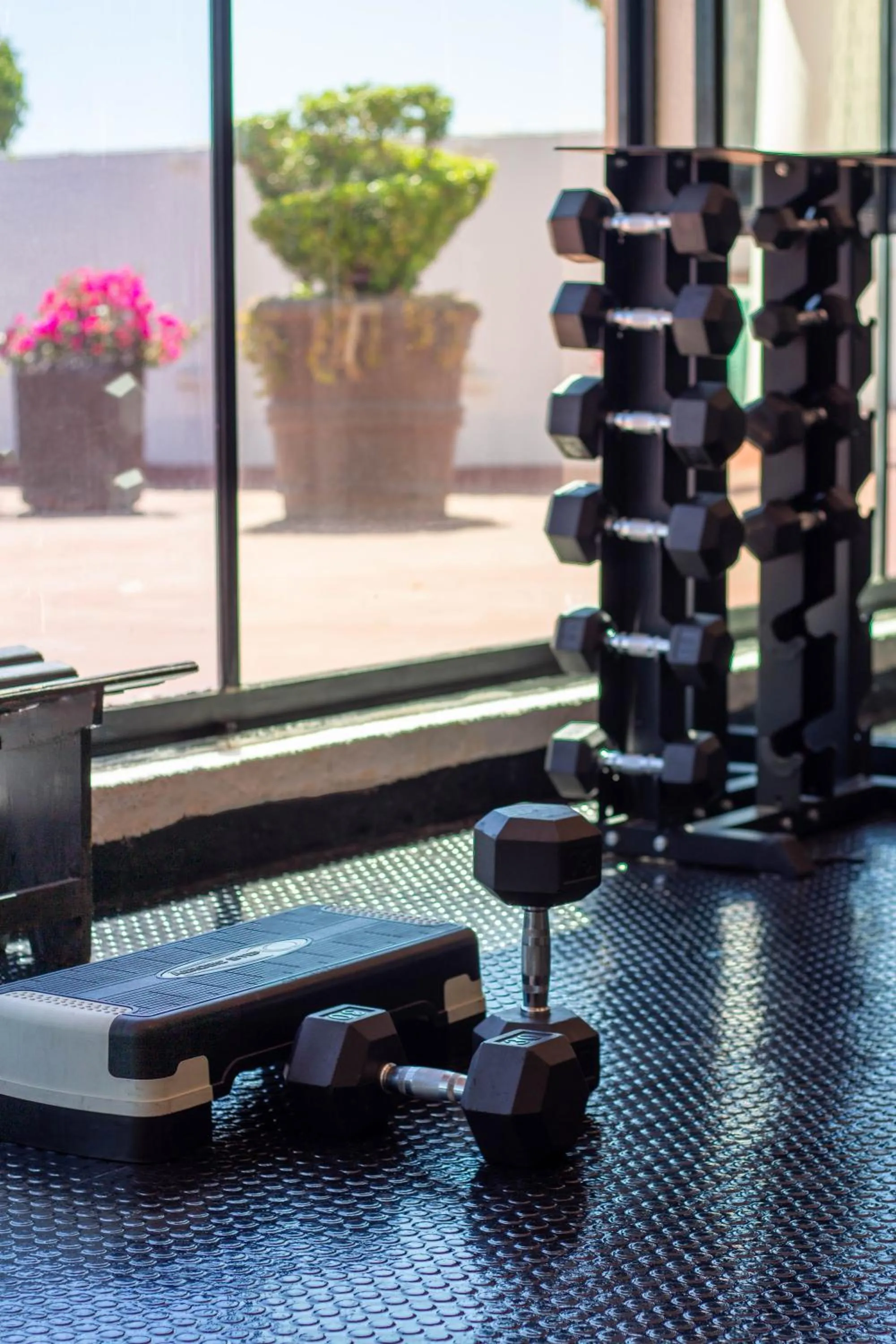 Fitness centre/facilities in Hotel Guadalajara Plaza Expo
