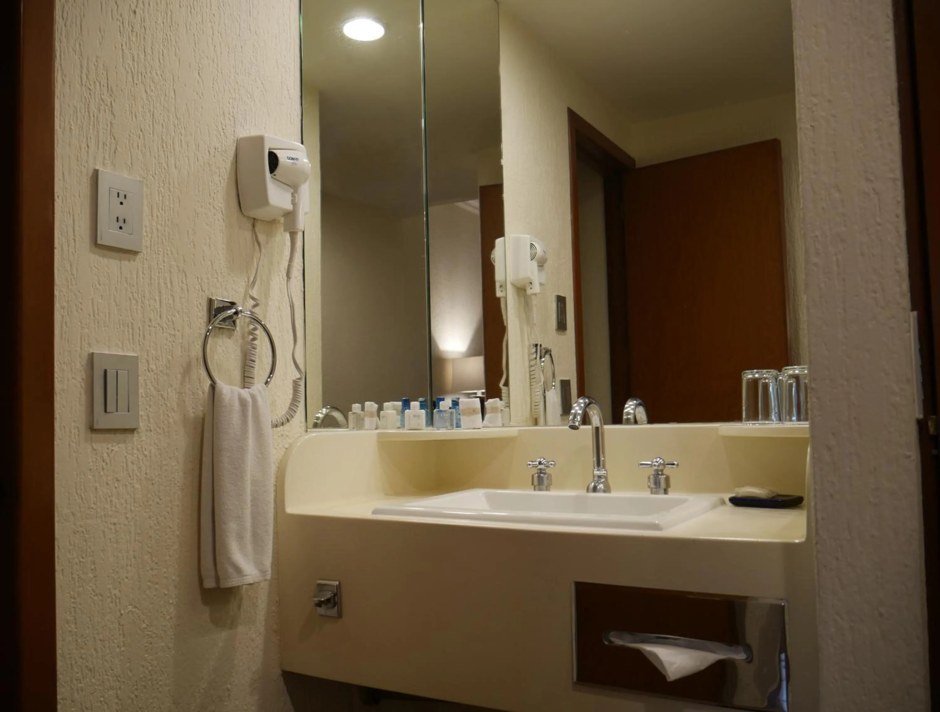 Bathroom in Hotel Guadalajara Plaza Expo