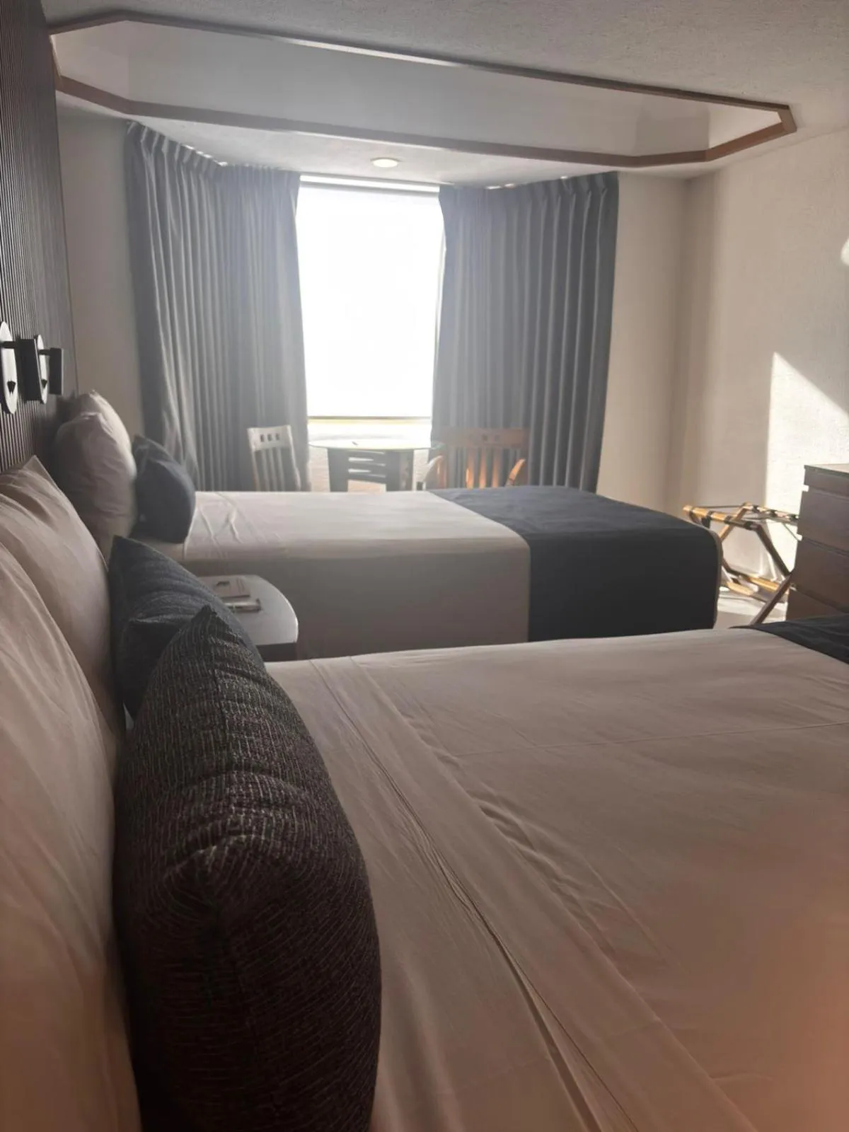 Photo of the whole room, Bed in Hotel Guadalajara Plaza Ejecutivo