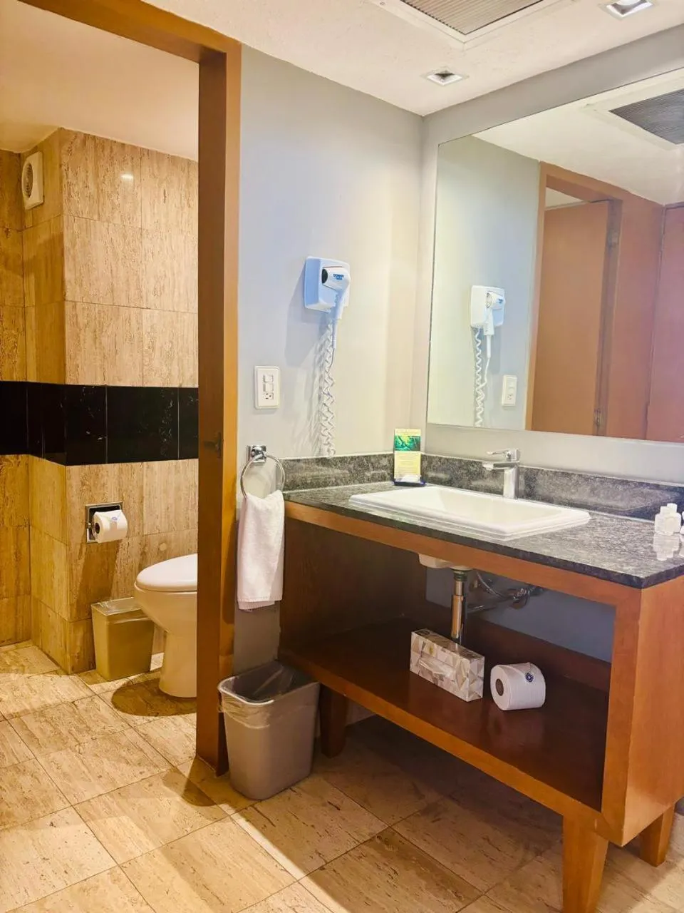 Bathroom in Hotel Guadalajara Plaza Ejecutivo