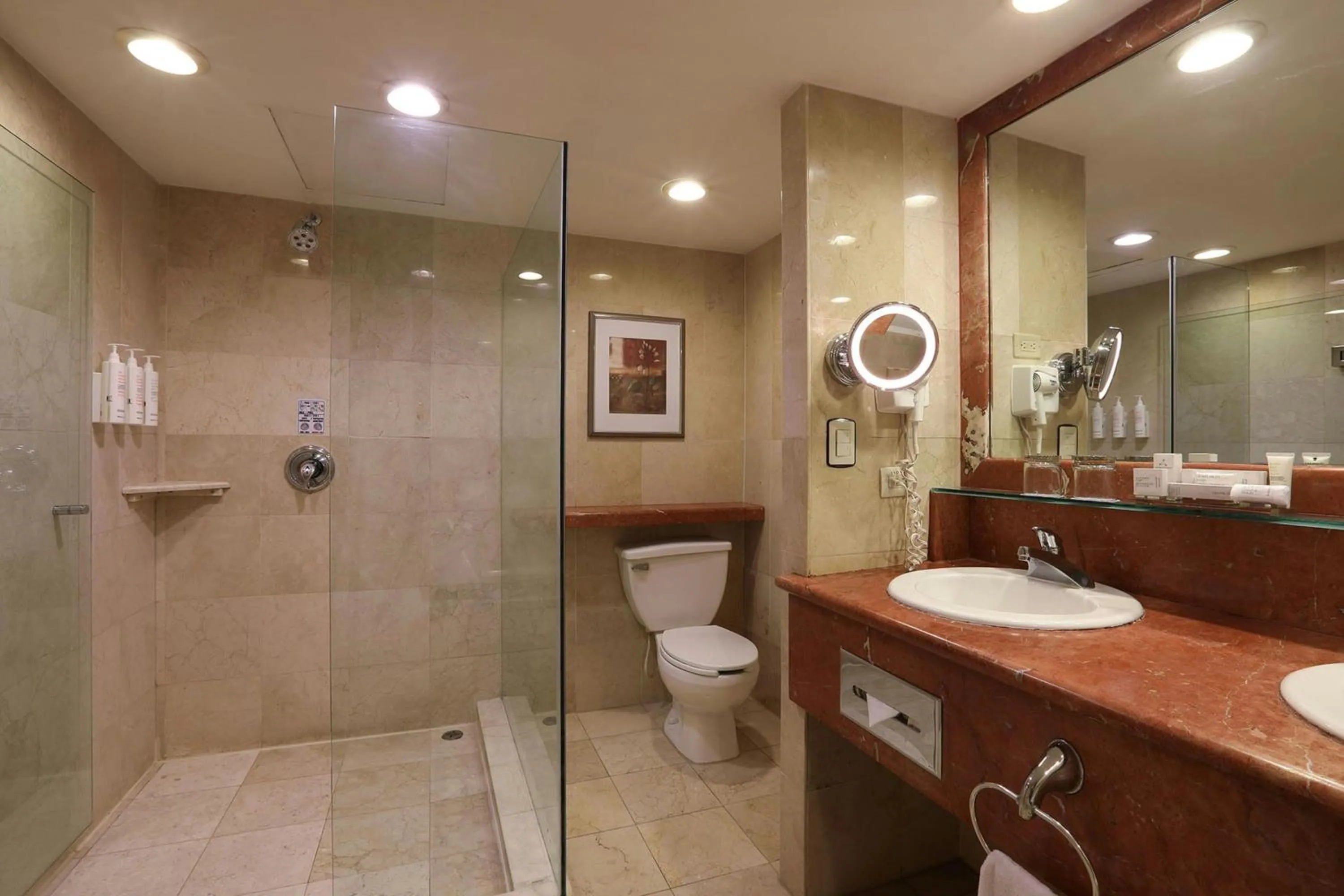 Bathroom in Marriott Tijuana Hotel