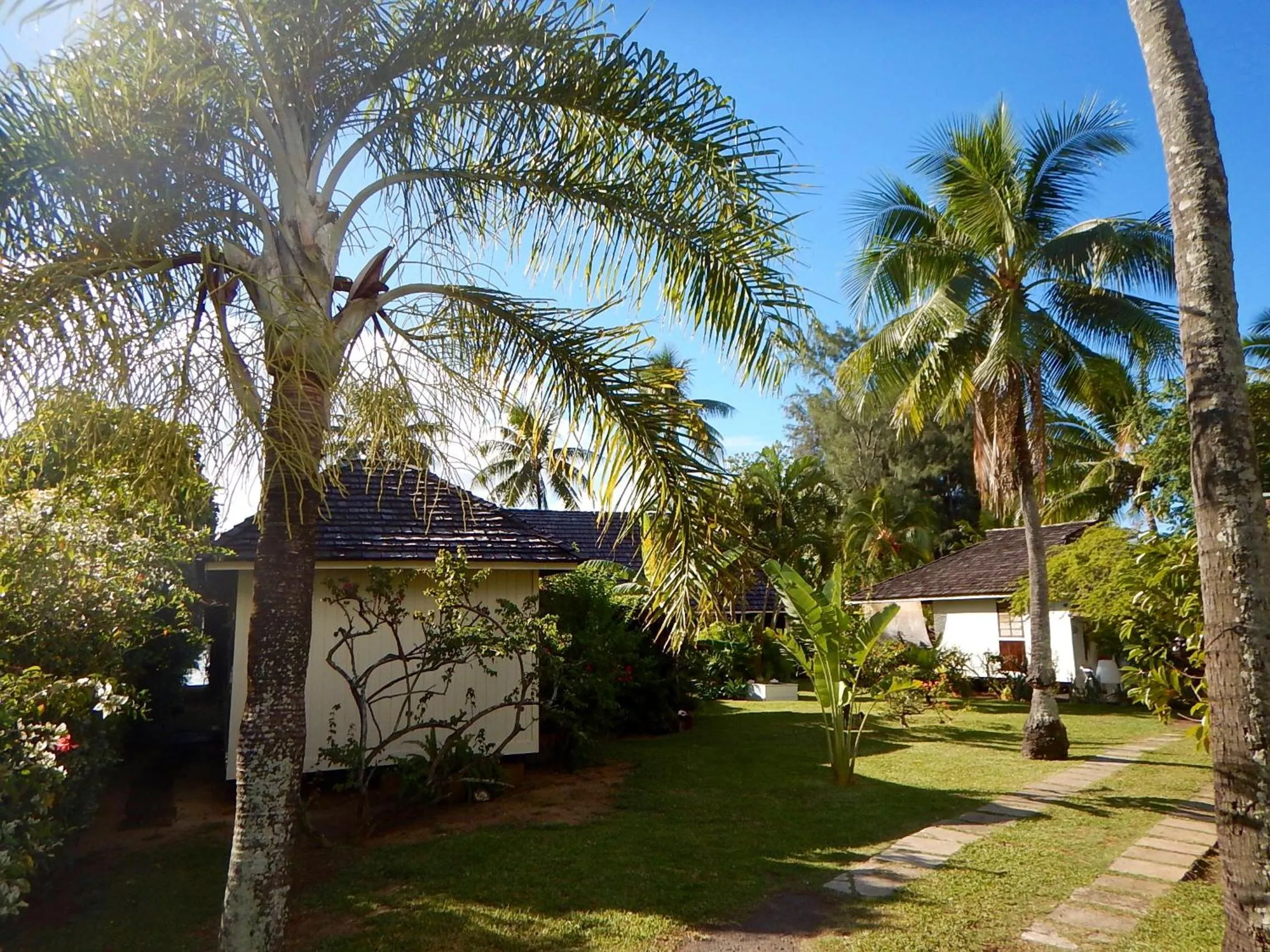 Garden in Poerani Moorea