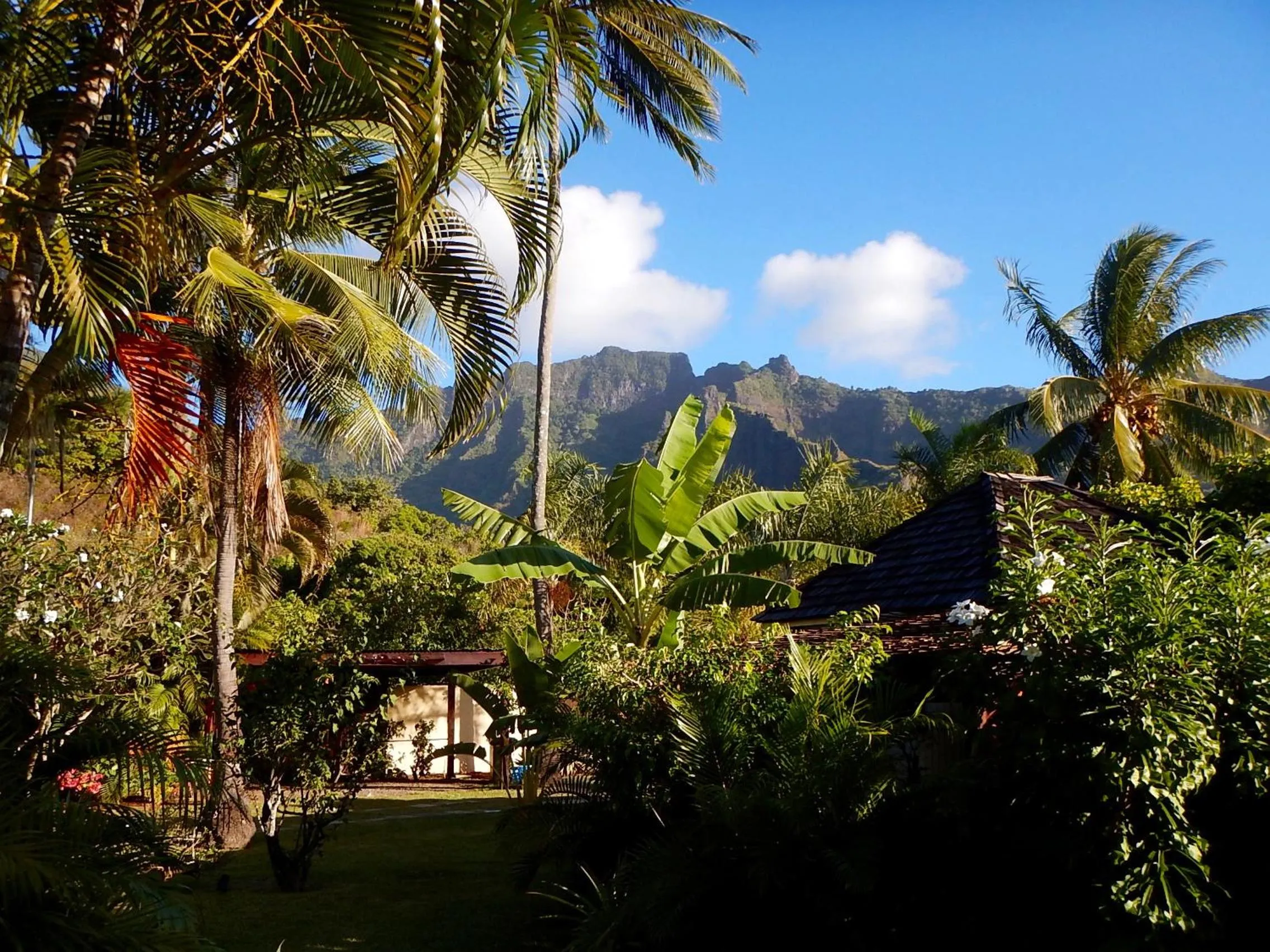Garden in Poerani Moorea
