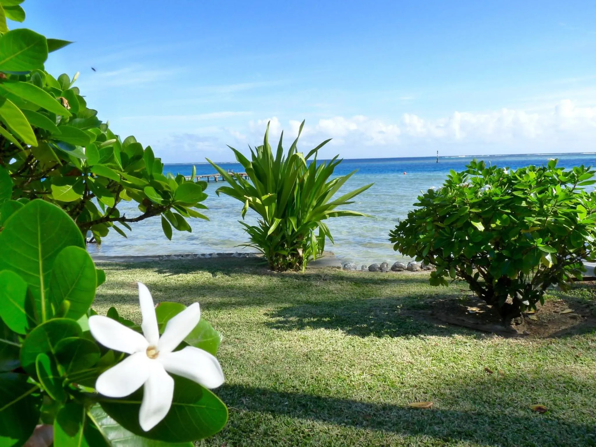 Sea view in Poerani Moorea