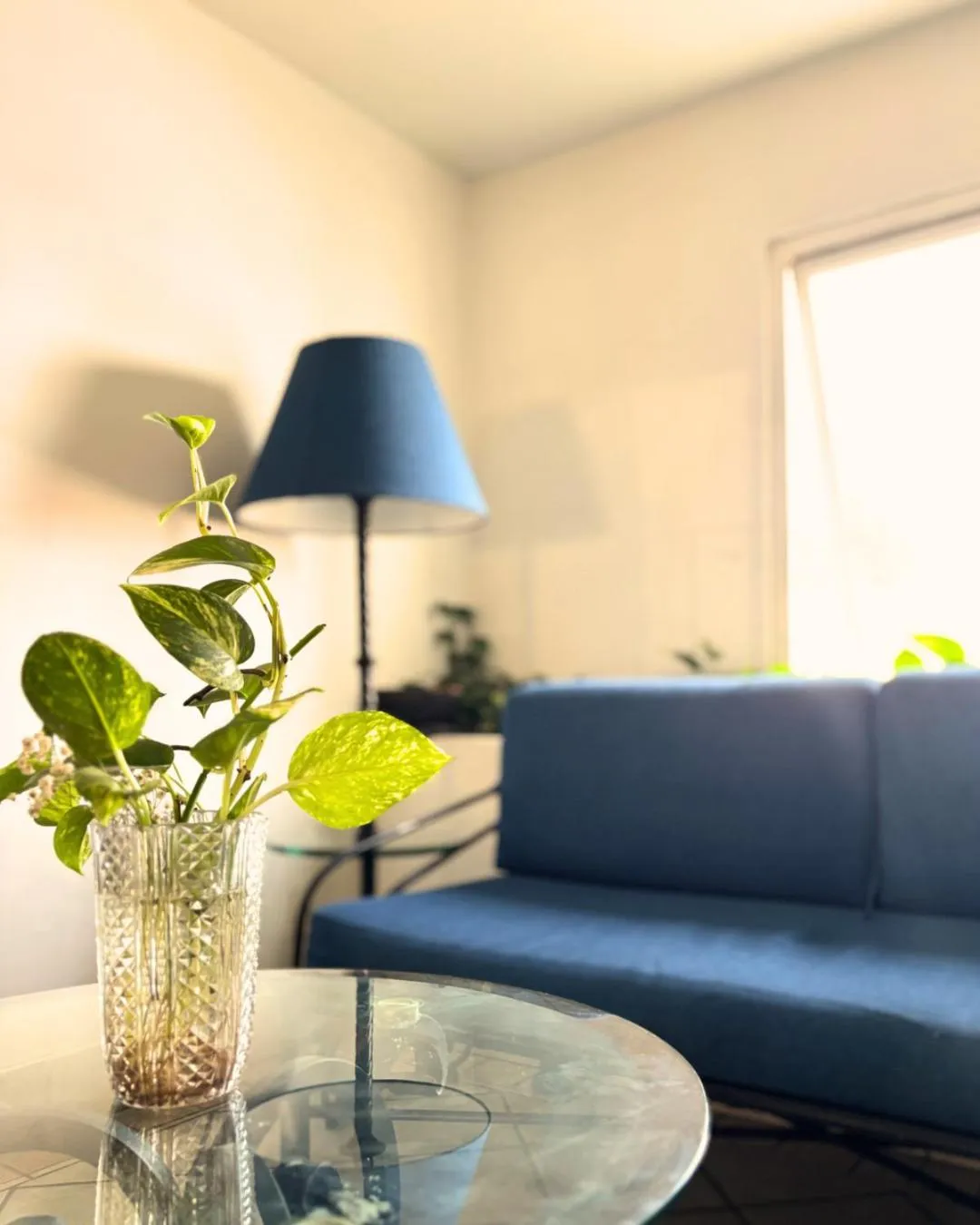 Hotel Arboledas Industrial