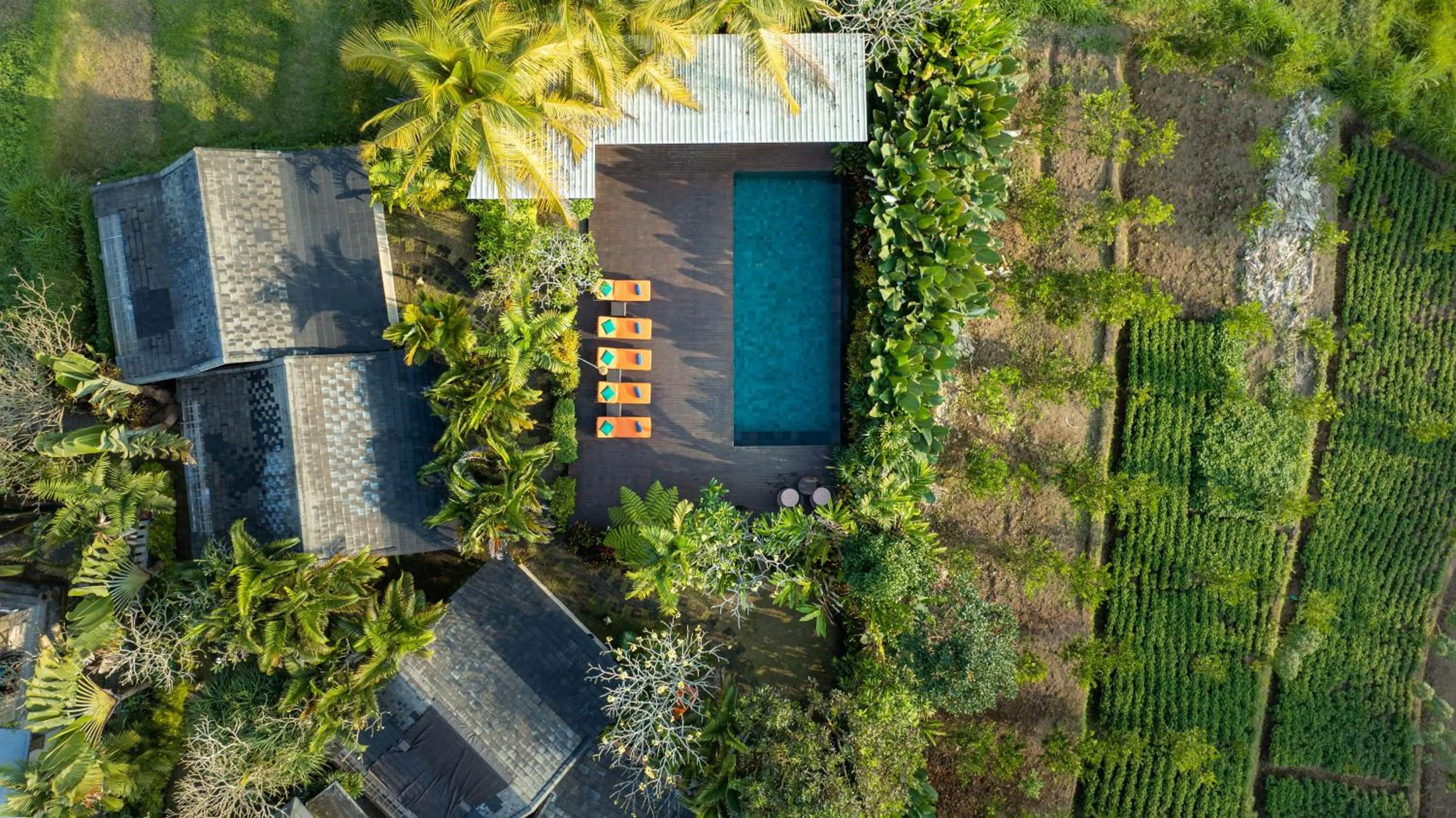 Swimming pool in Villa Tegal Tis Ubud