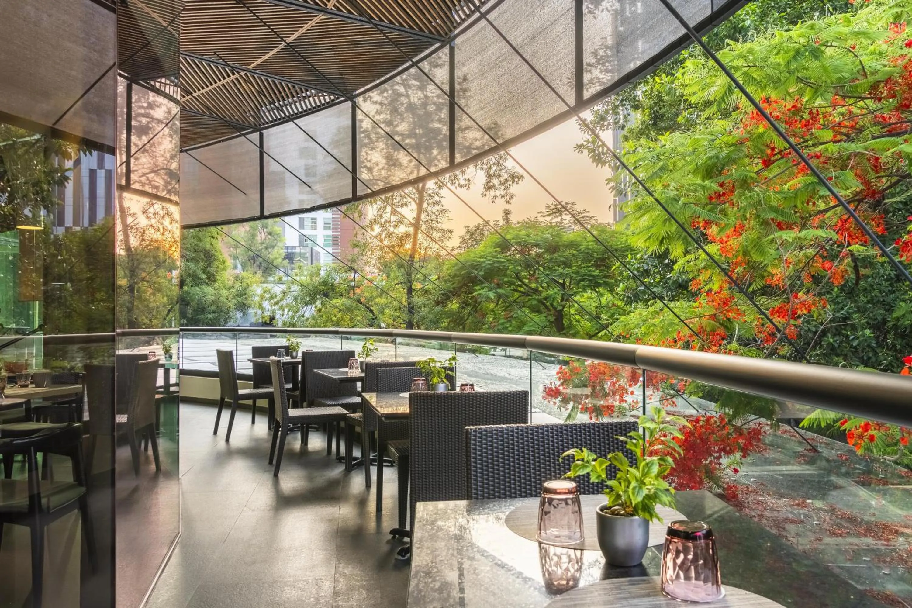 Restaurant/places to eat in NH Collection Guadalajara Providencia