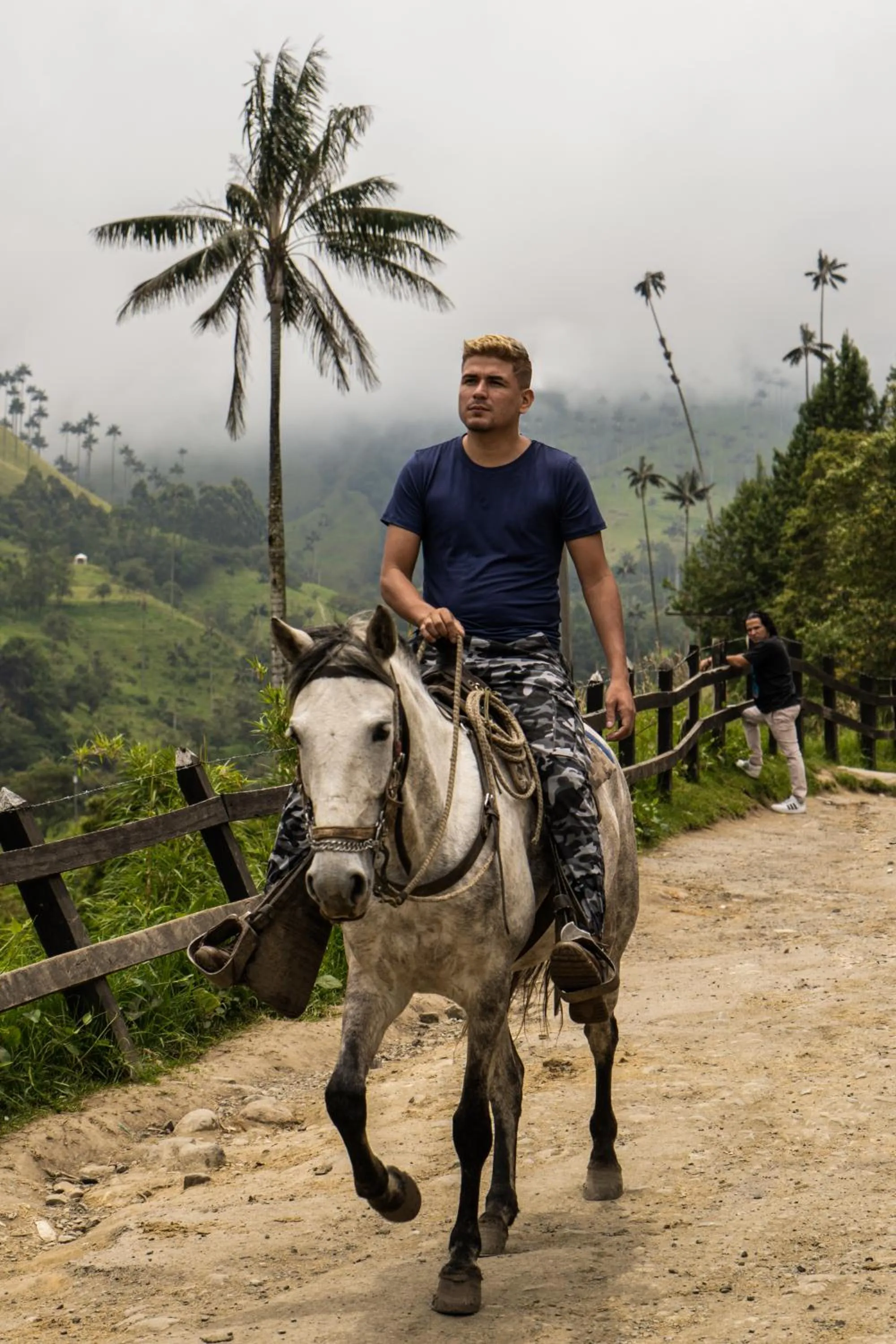 Natural landscape in Viajero Salento Hostel