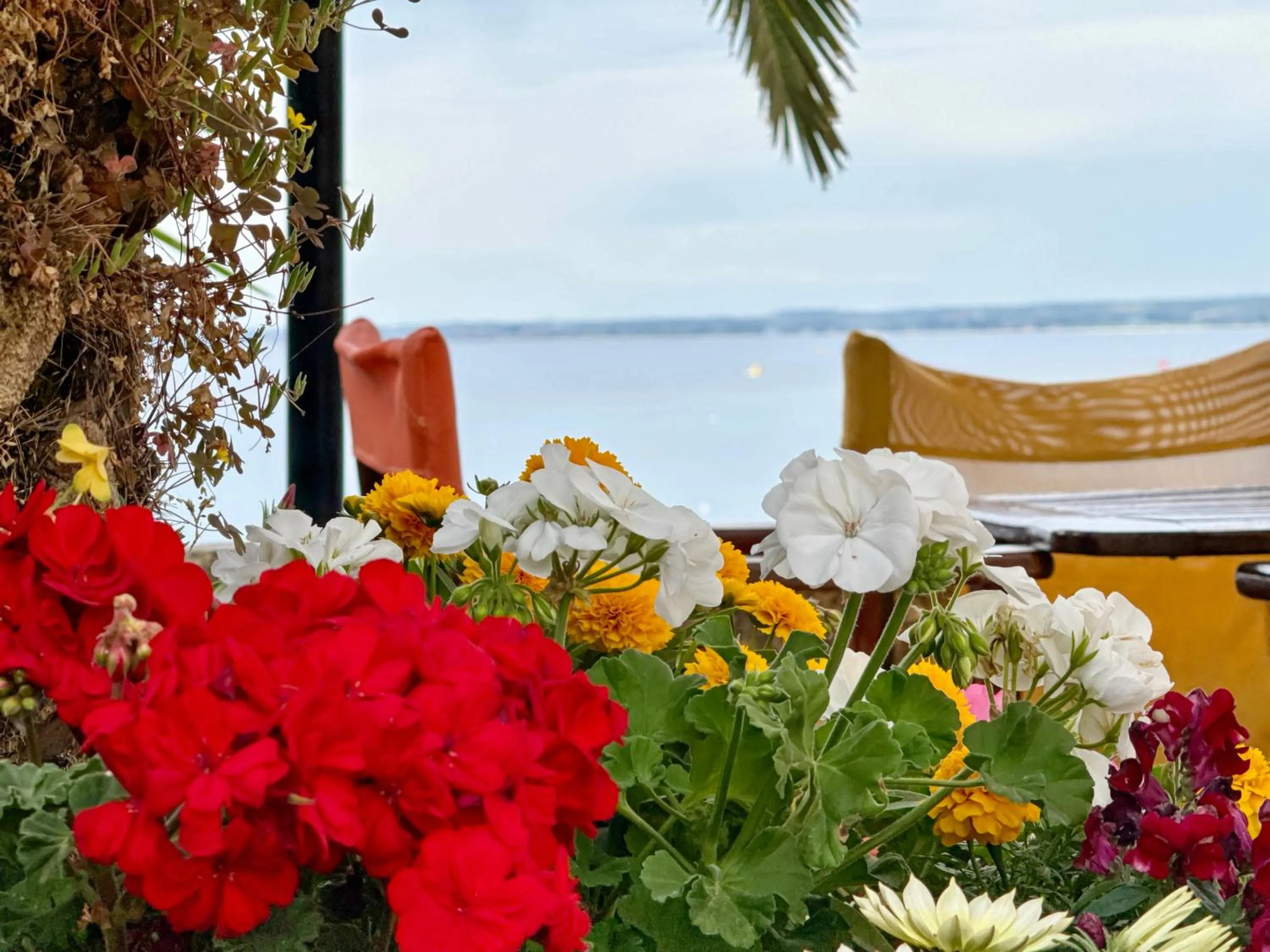 Property building in Maistrali Beach Studios