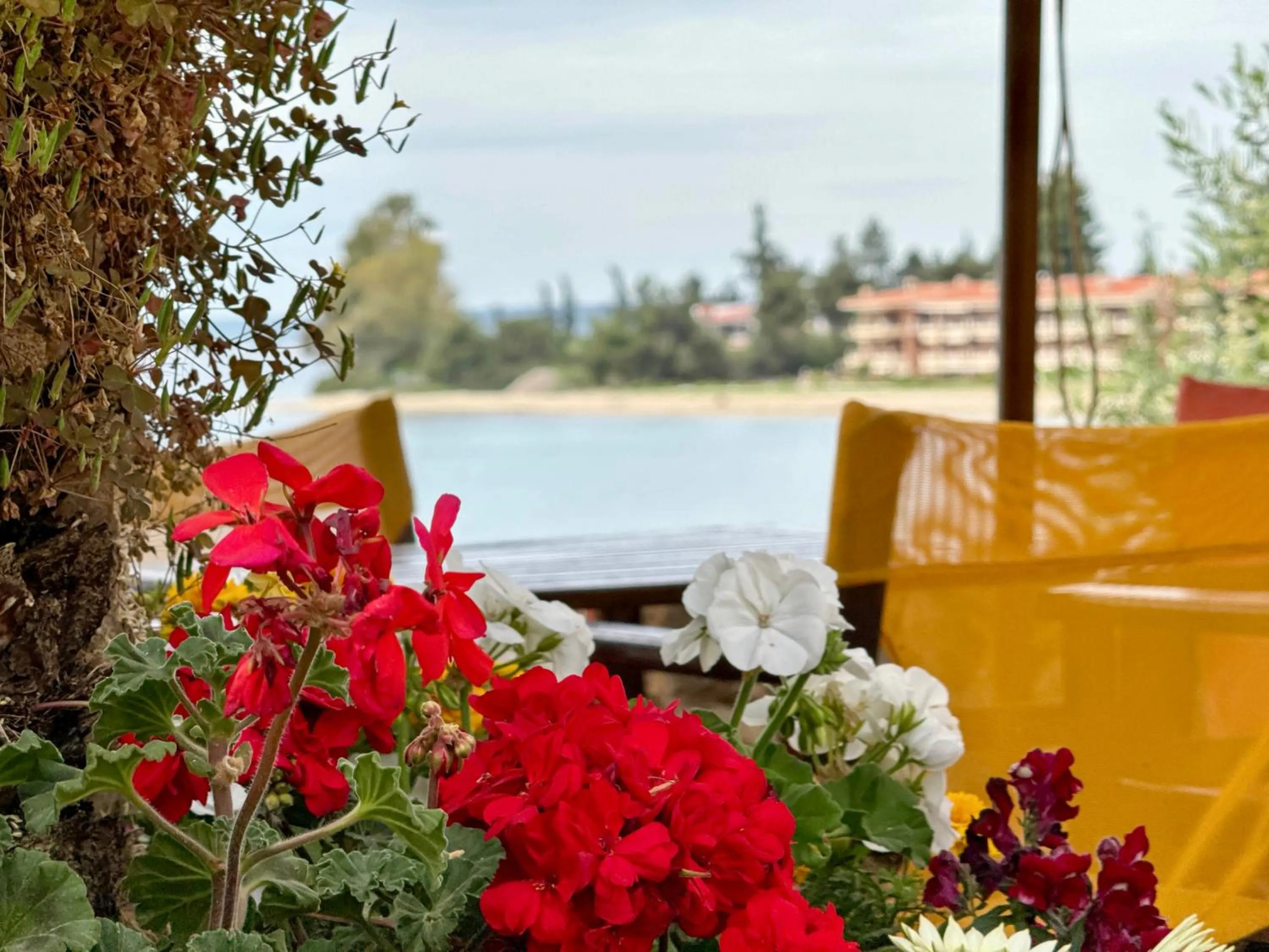 Property building in Maistrali Beach Studios