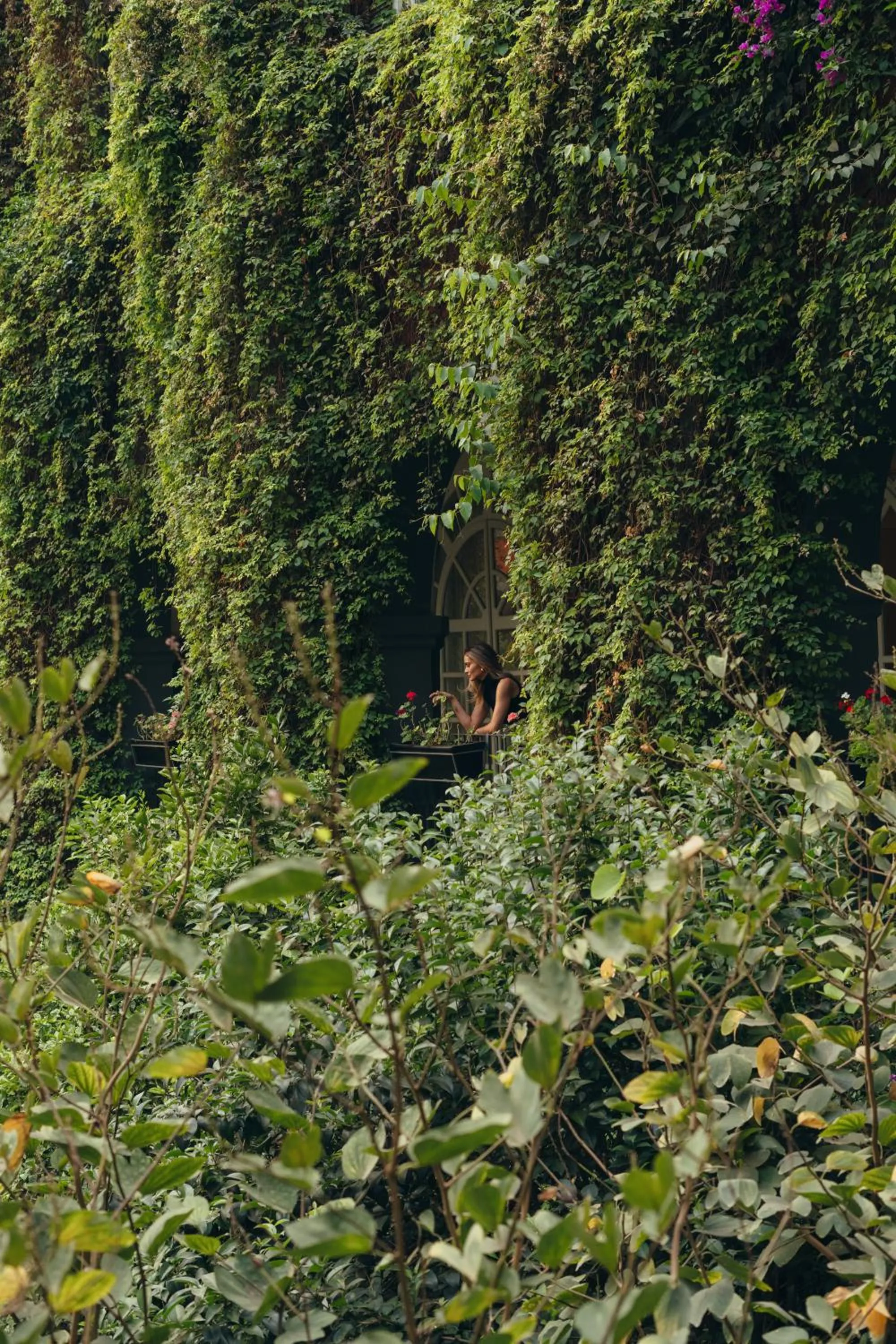 Inner courtyard view in Four Seasons Hotel Mexico City