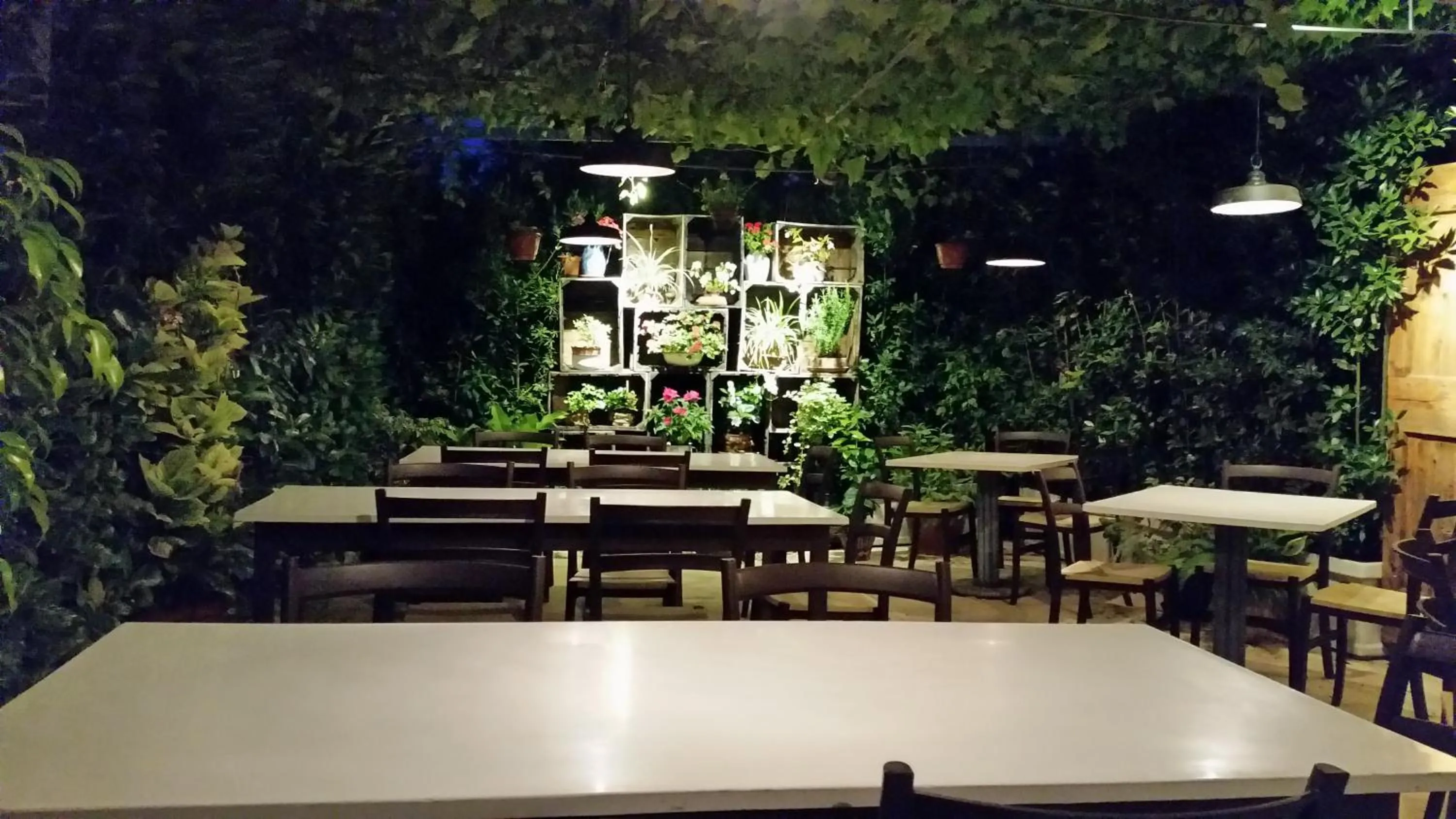 Restaurant/places to eat in Casa Rosanna