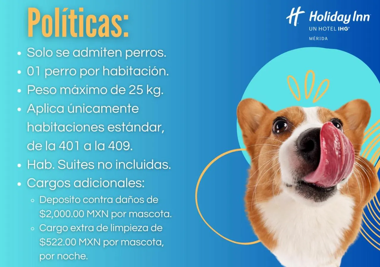 Pets in Holiday Inn Merida by IHG