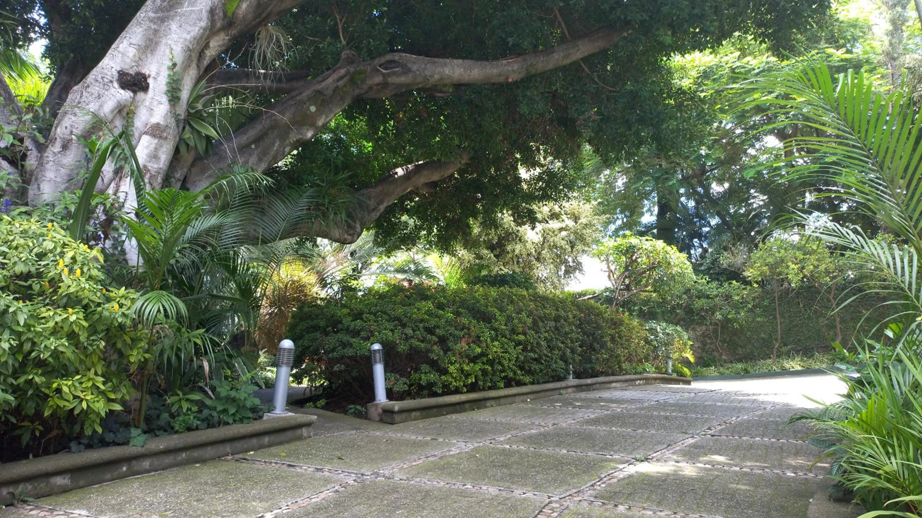 Meeting/conference room in Holiday Inn Cuernavaca by IHG