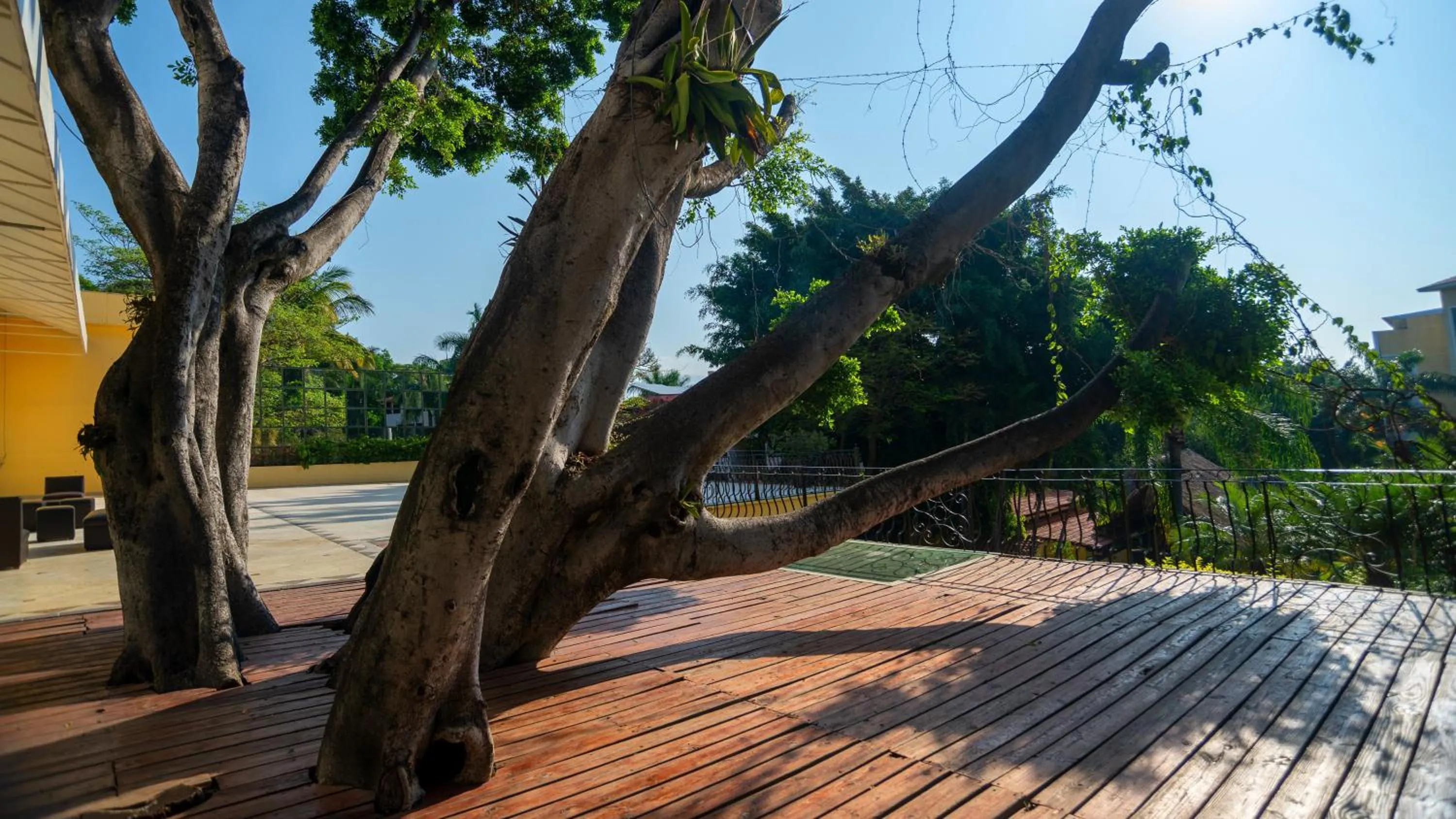 Other in Holiday Inn Cuernavaca by IHG