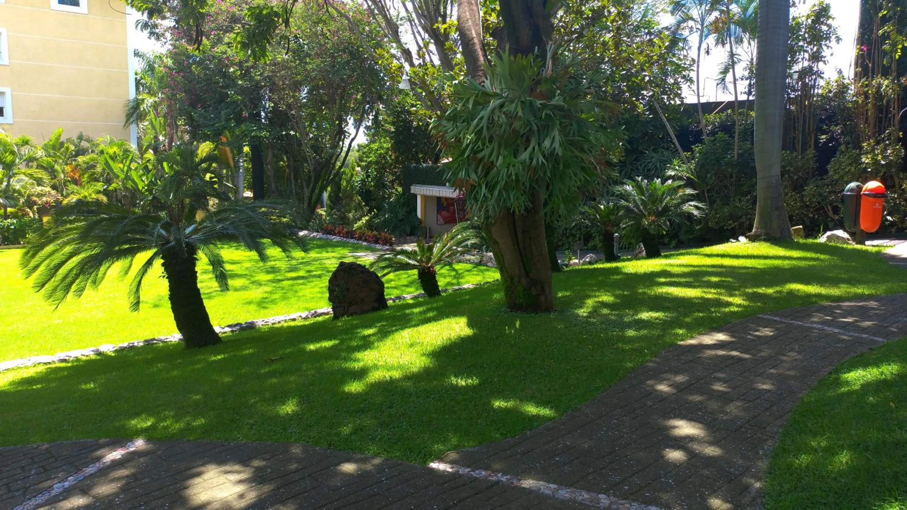 Other in Holiday Inn Cuernavaca by IHG