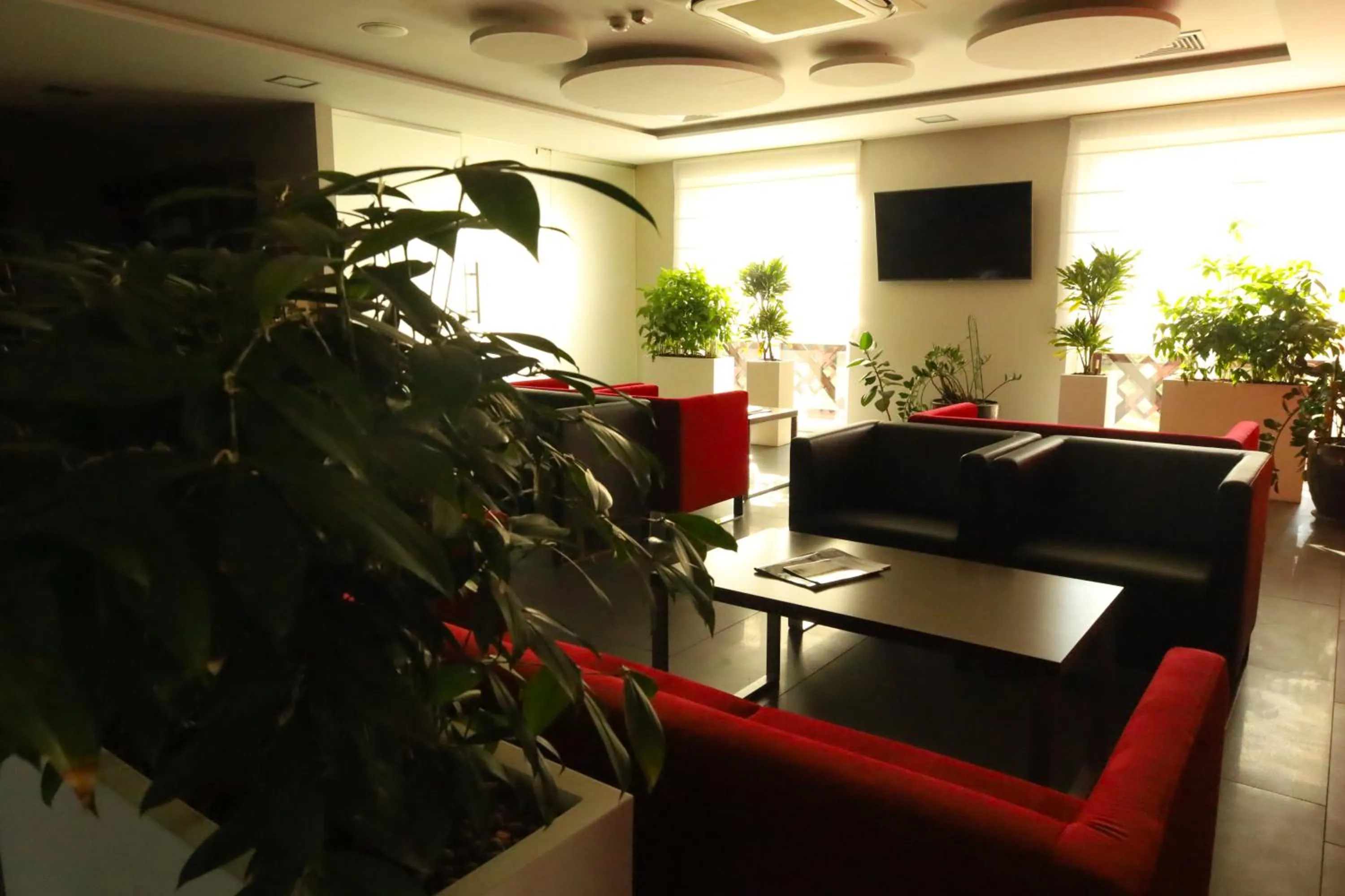 Hotel Radocza Park Business & Spa