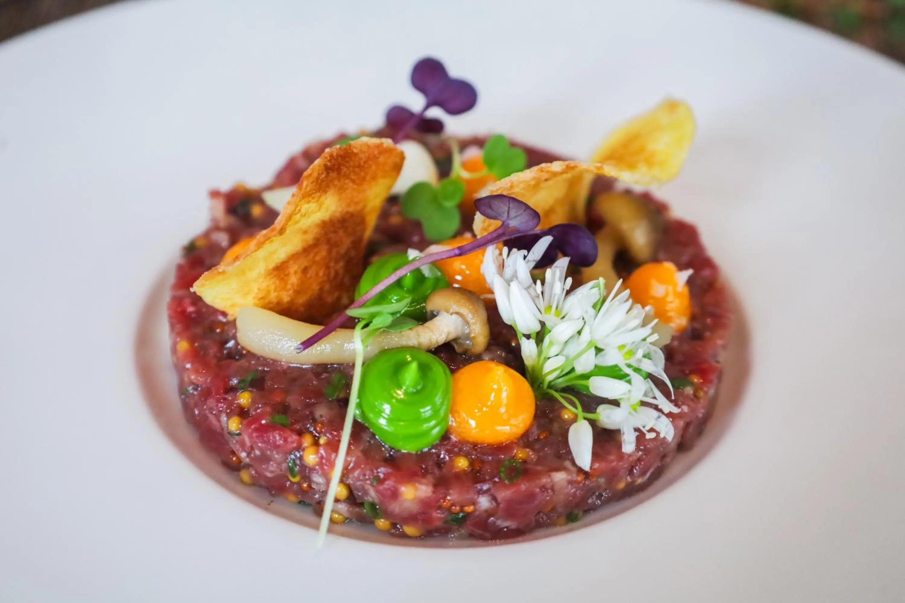 Hotel Radocza Park Business & Spa